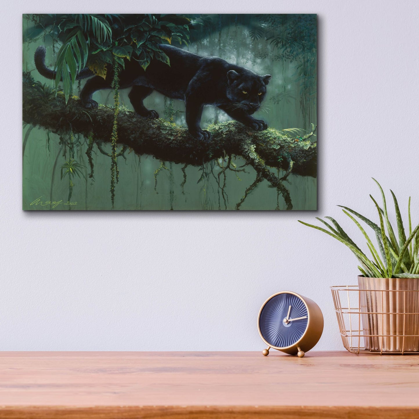 Epic Art 'Black Jaguar' by Harro Maass, Acrylic Glass Wall Art,16x12