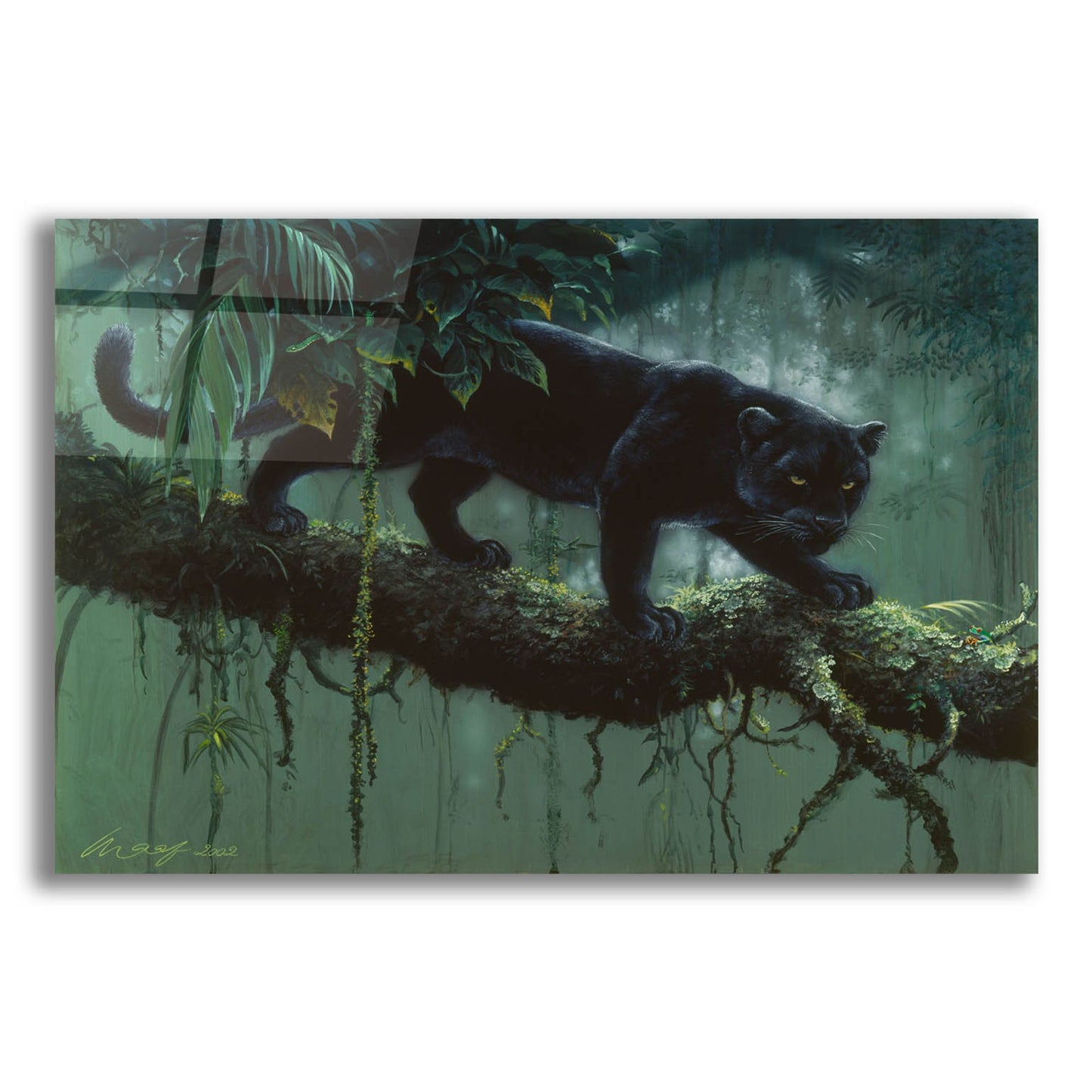 Epic Art 'Black Jaguar' by Harro Maass, Acrylic Glass Wall Art,16x12