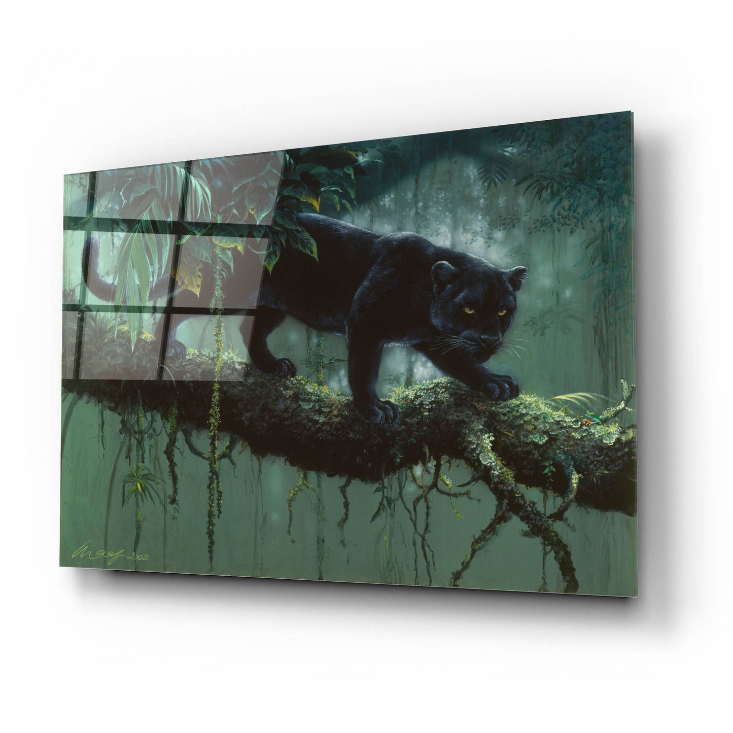 Epic Art 'Black Jaguar' by Harro Maass, Acrylic Glass Wall Art,24x16