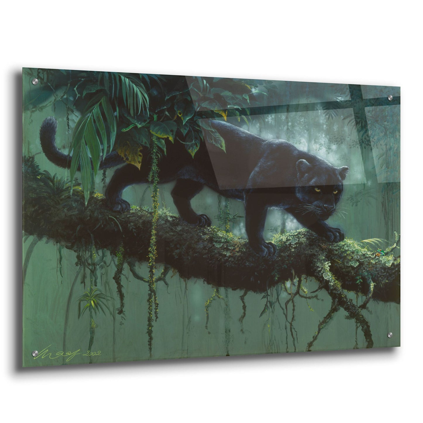 Epic Art 'Black Jaguar' by Harro Maass, Acrylic Glass Wall Art,36x24