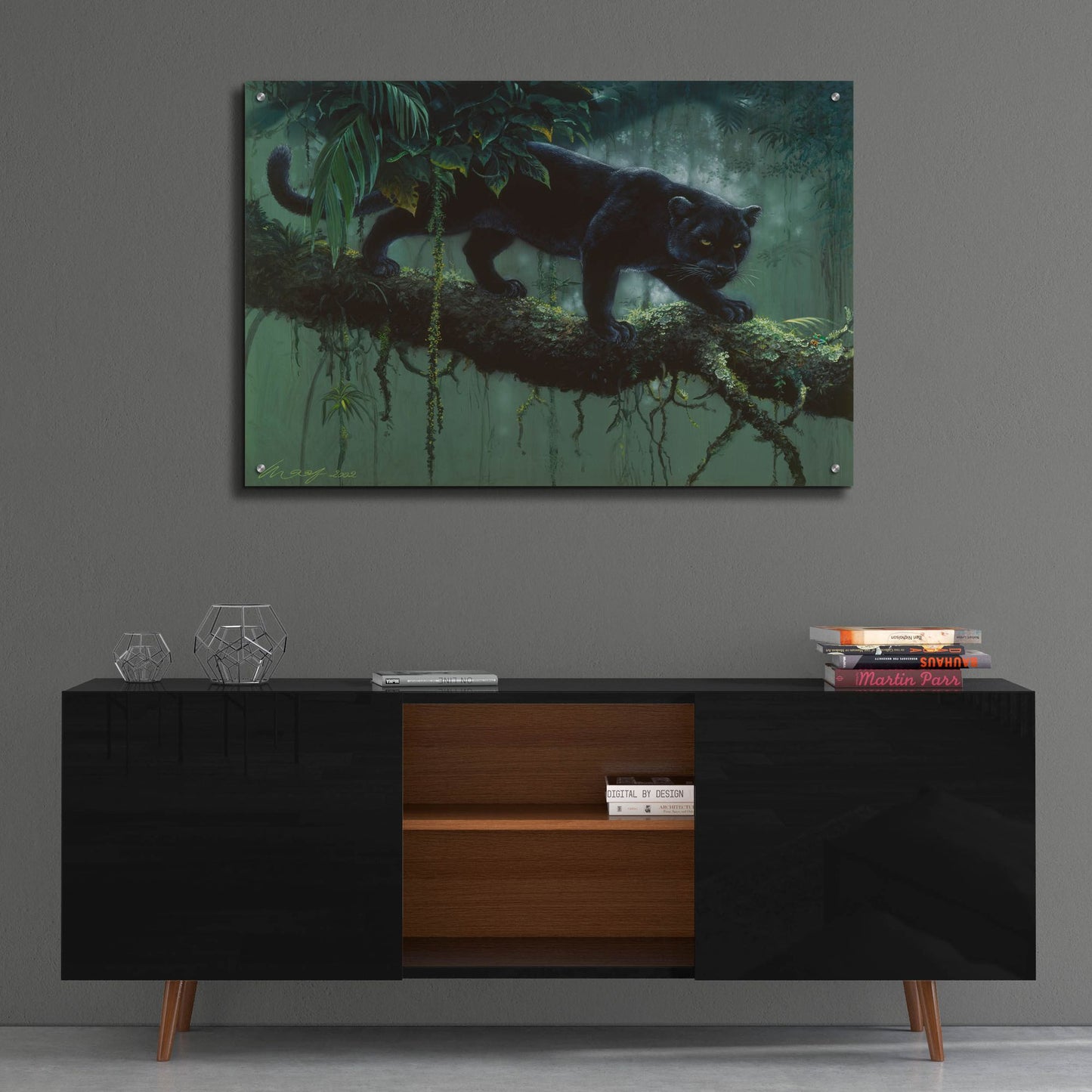 Epic Art 'Black Jaguar' by Harro Maass, Acrylic Glass Wall Art,36x24