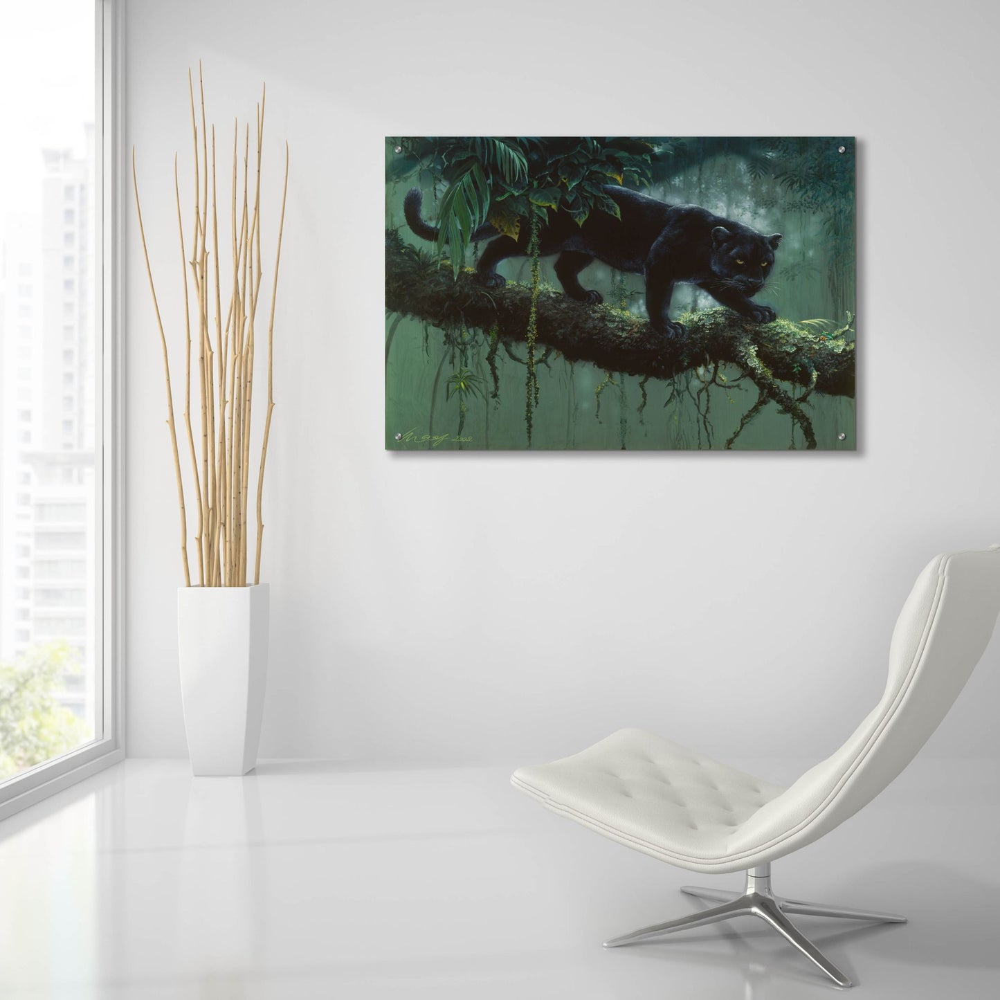 Epic Art 'Black Jaguar' by Harro Maass, Acrylic Glass Wall Art,36x24