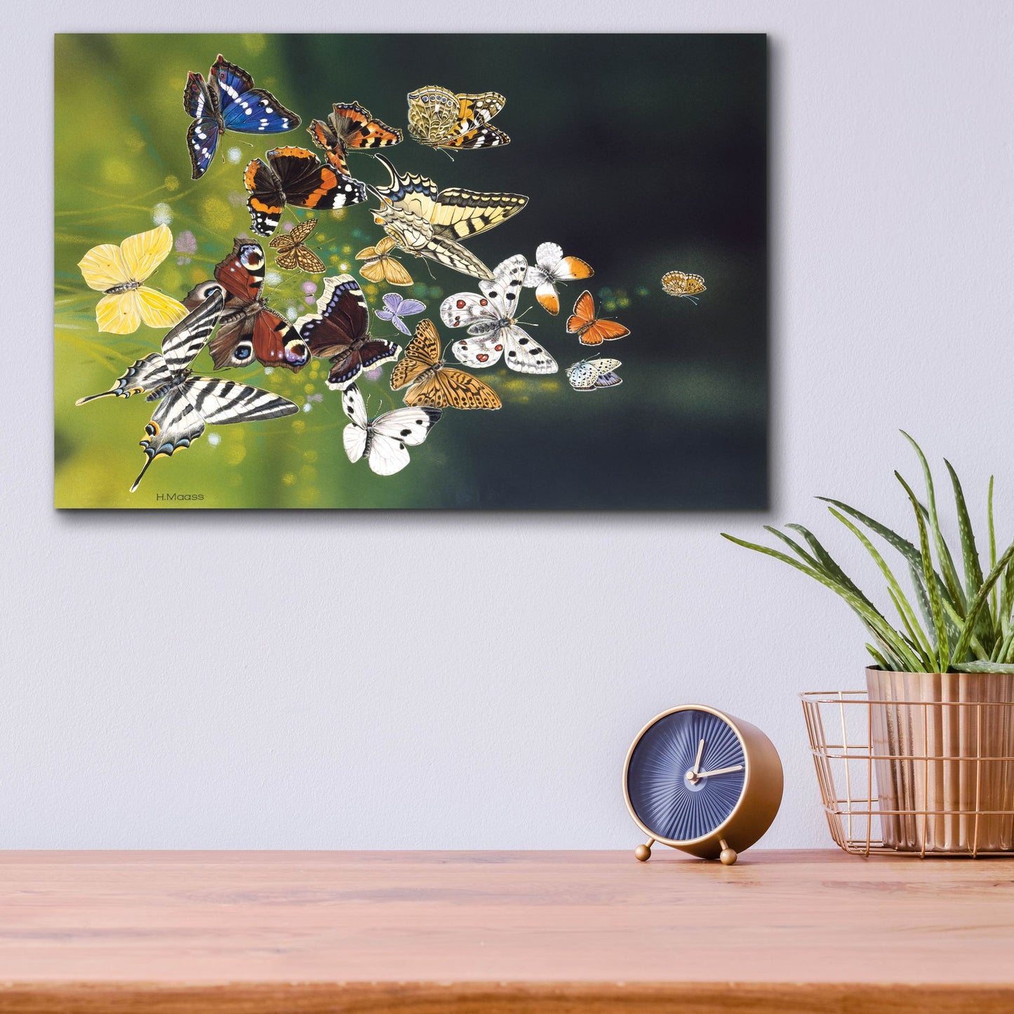 Epic Art 'Butterflies' by Harro Maass, Acrylic Glass Wall Art,16x12