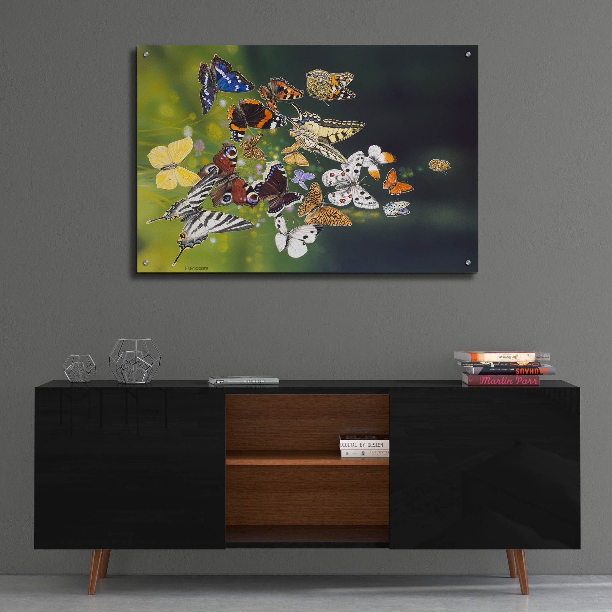 Epic Art 'Butterflies' by Harro Maass, Acrylic Glass Wall Art,36x24