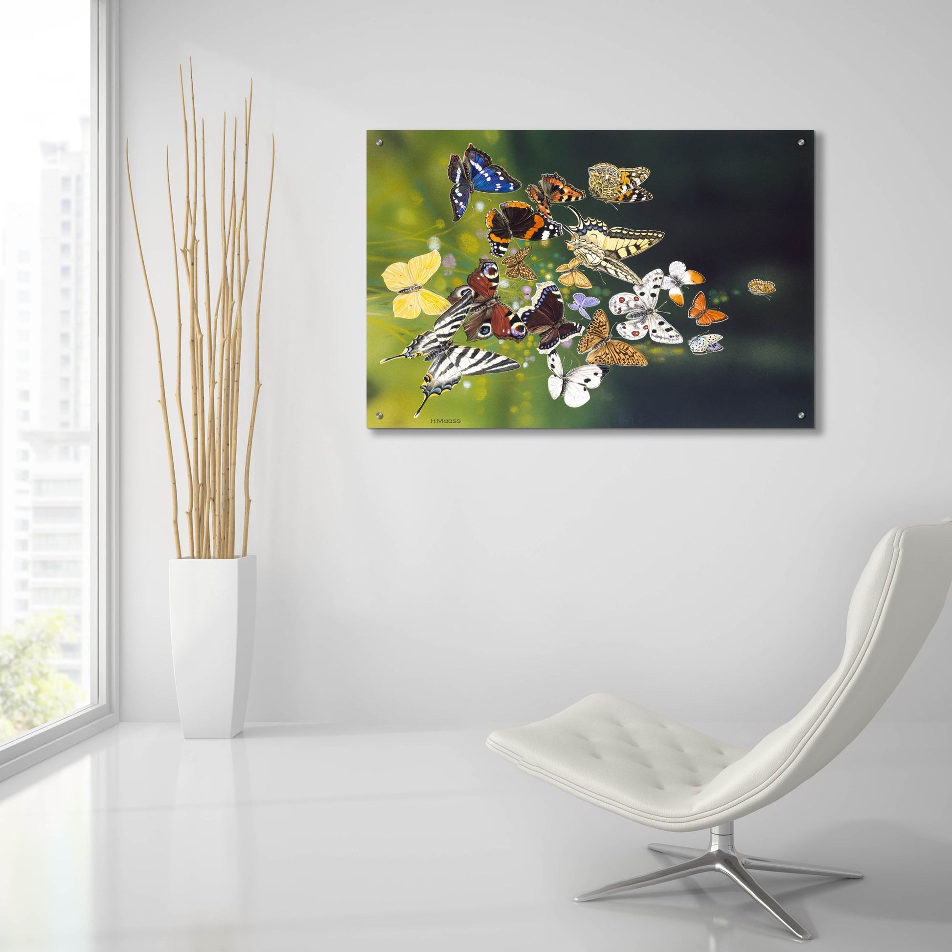 Epic Art 'Butterflies' by Harro Maass, Acrylic Glass Wall Art,36x24