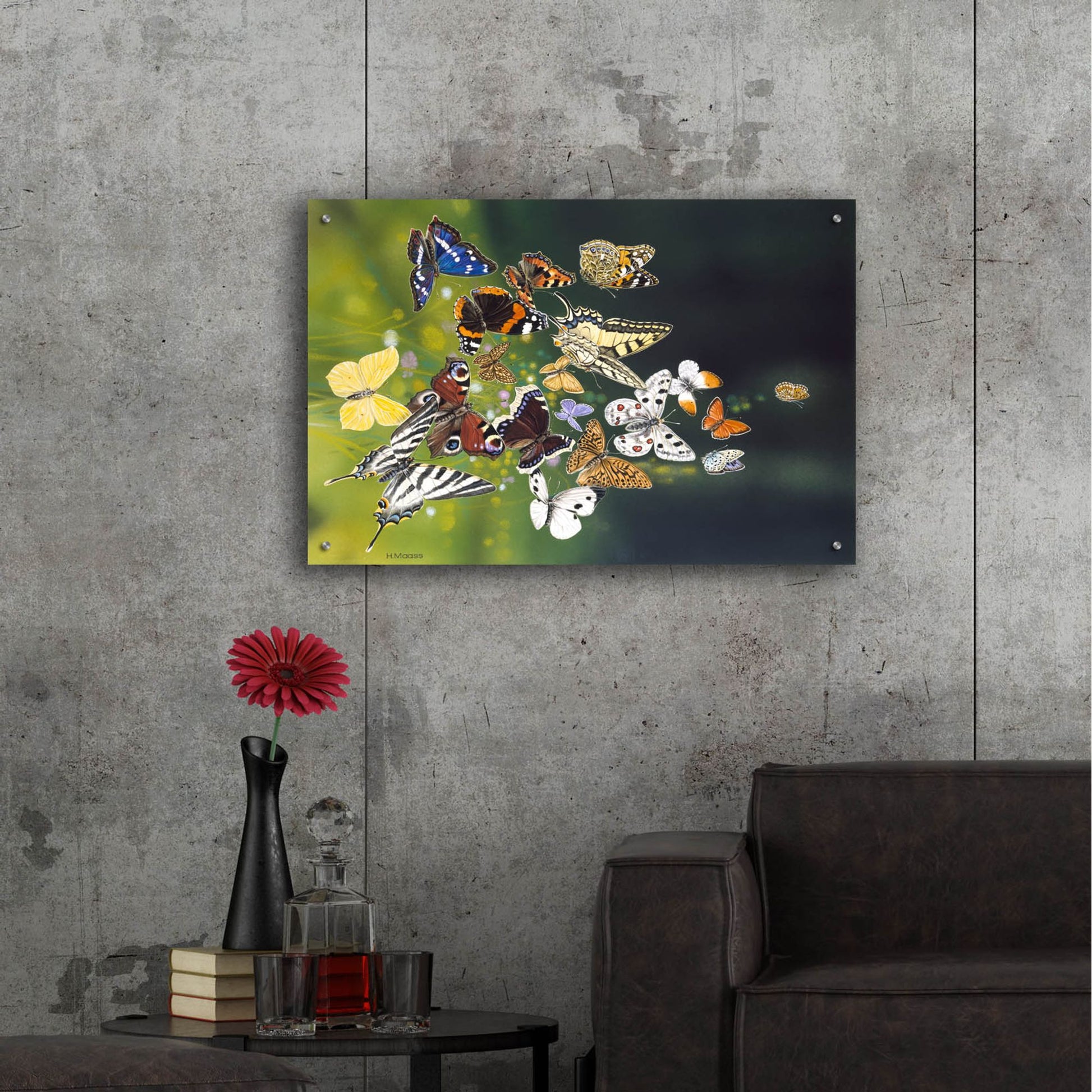 Epic Art 'Butterflies' by Harro Maass, Acrylic Glass Wall Art,36x24