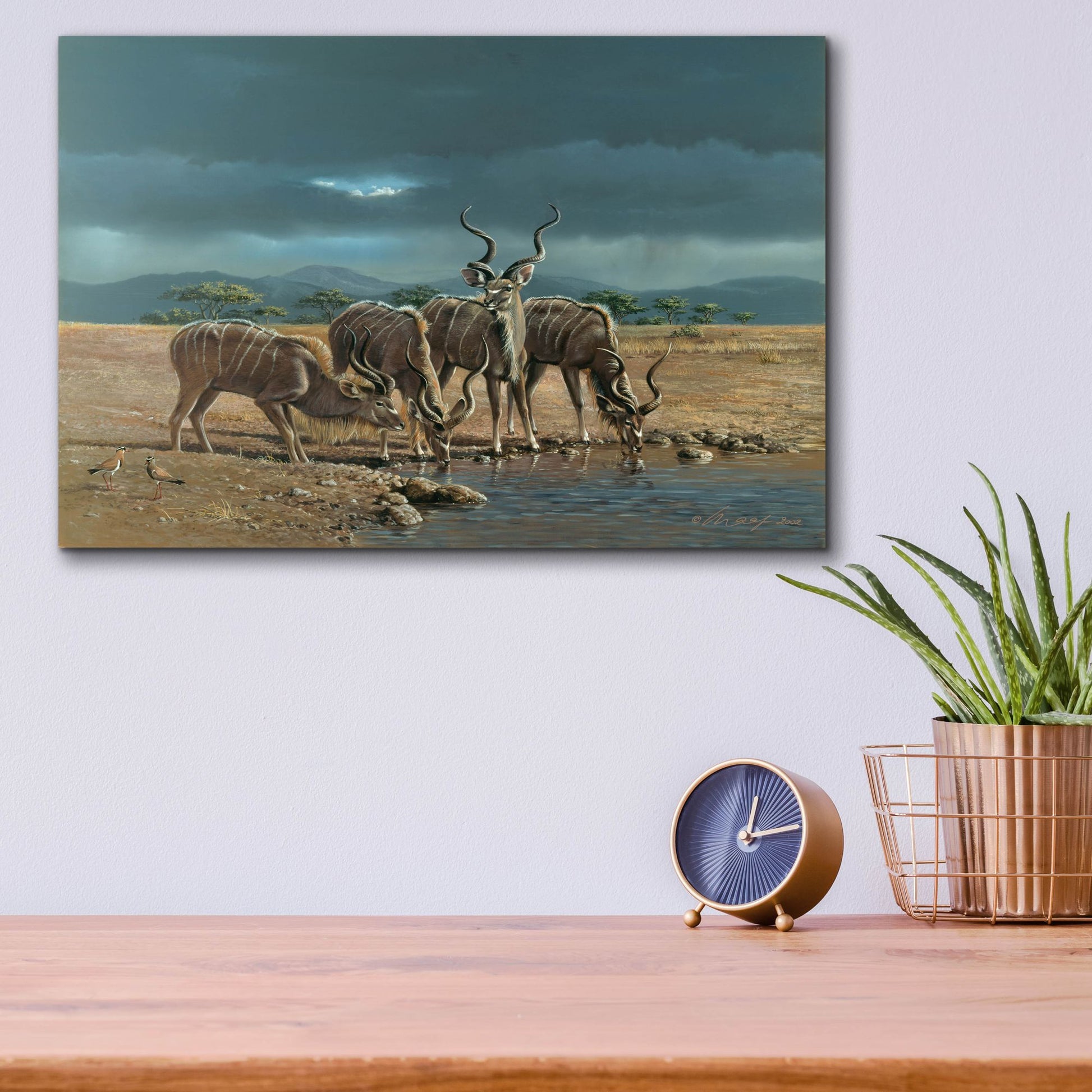 Epic Art 'Greater Kudus' by Harro Maass, Acrylic Glass Wall Art,16x12