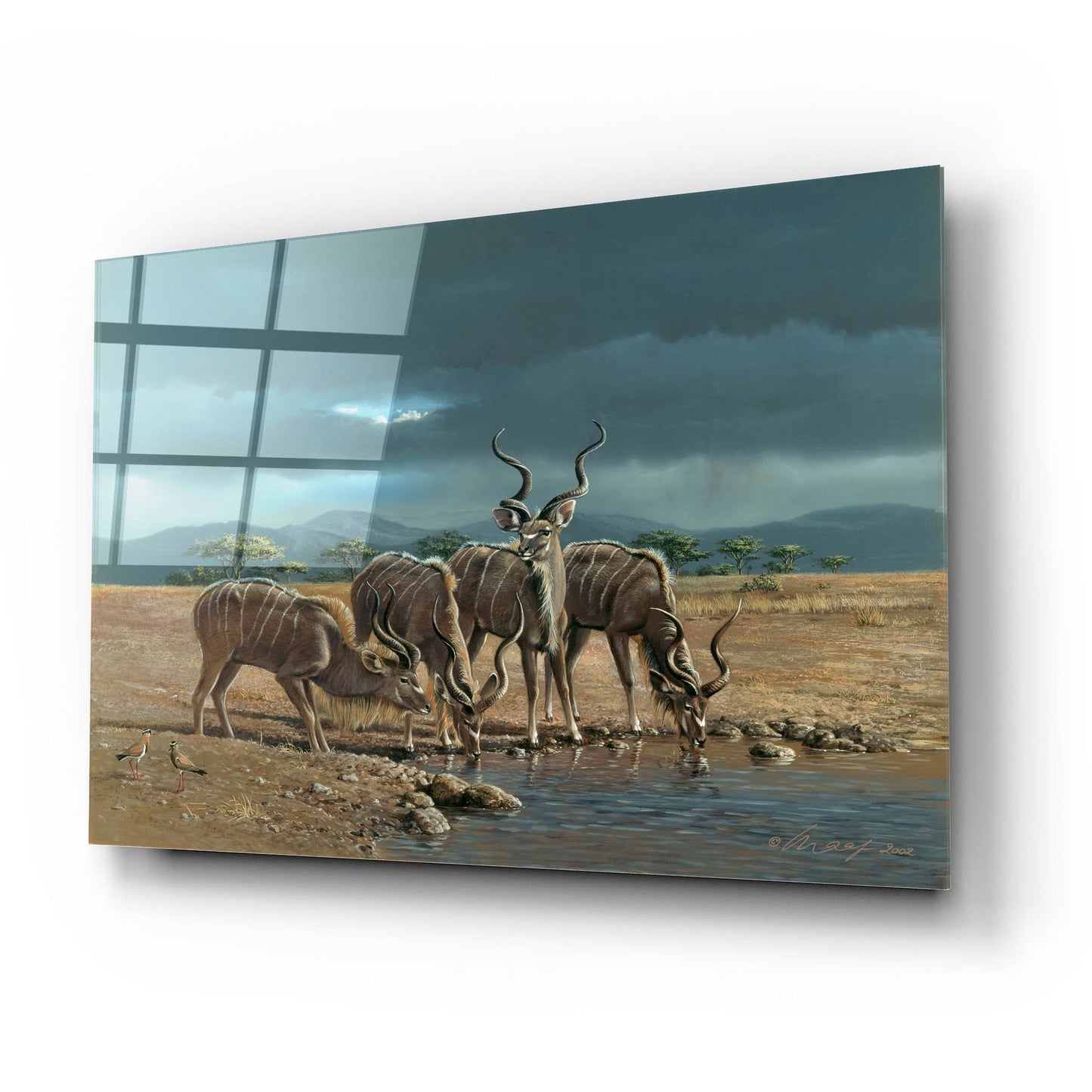 Epic Art 'Greater Kudus' by Harro Maass, Acrylic Glass Wall Art,24x16