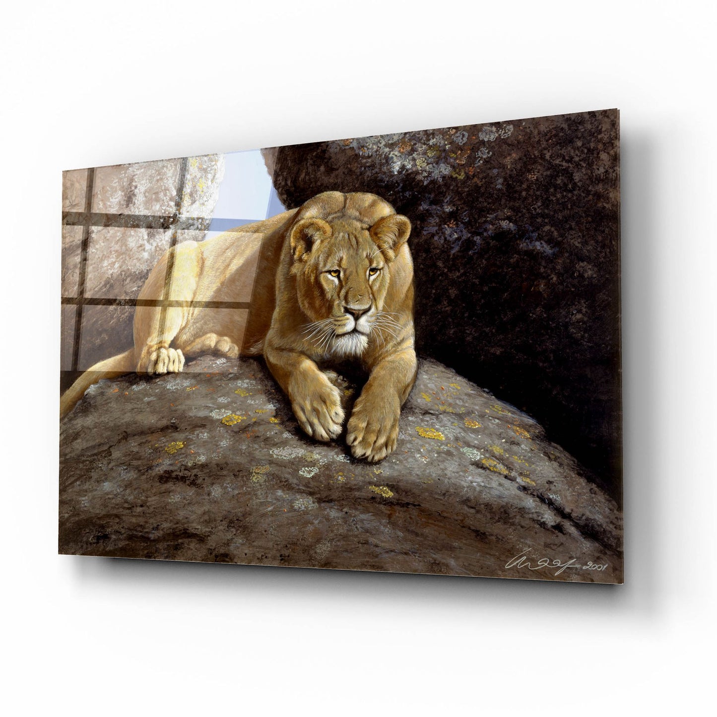 Epic Art 'Lioness' by Harro Maass, Acrylic Glass Wall Art,16x12