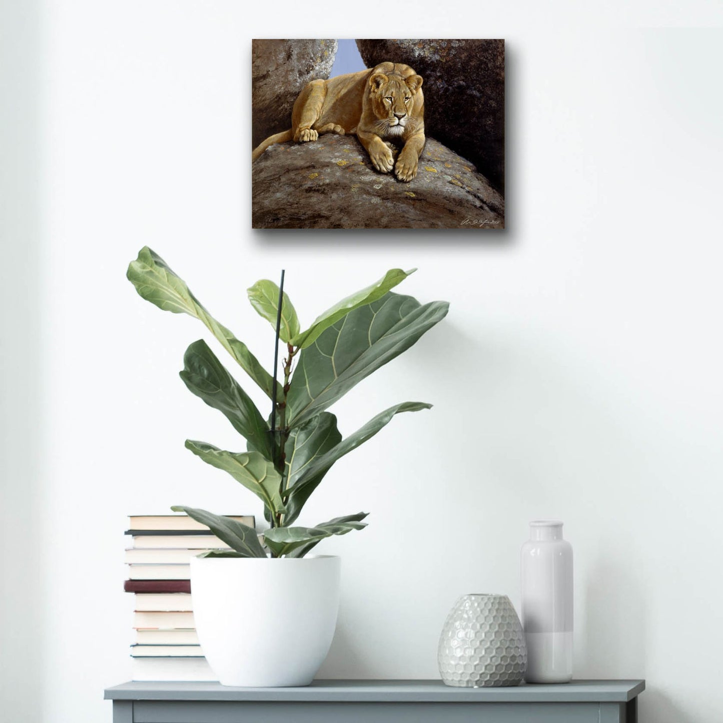 Epic Art 'Lioness' by Harro Maass, Acrylic Glass Wall Art,16x12