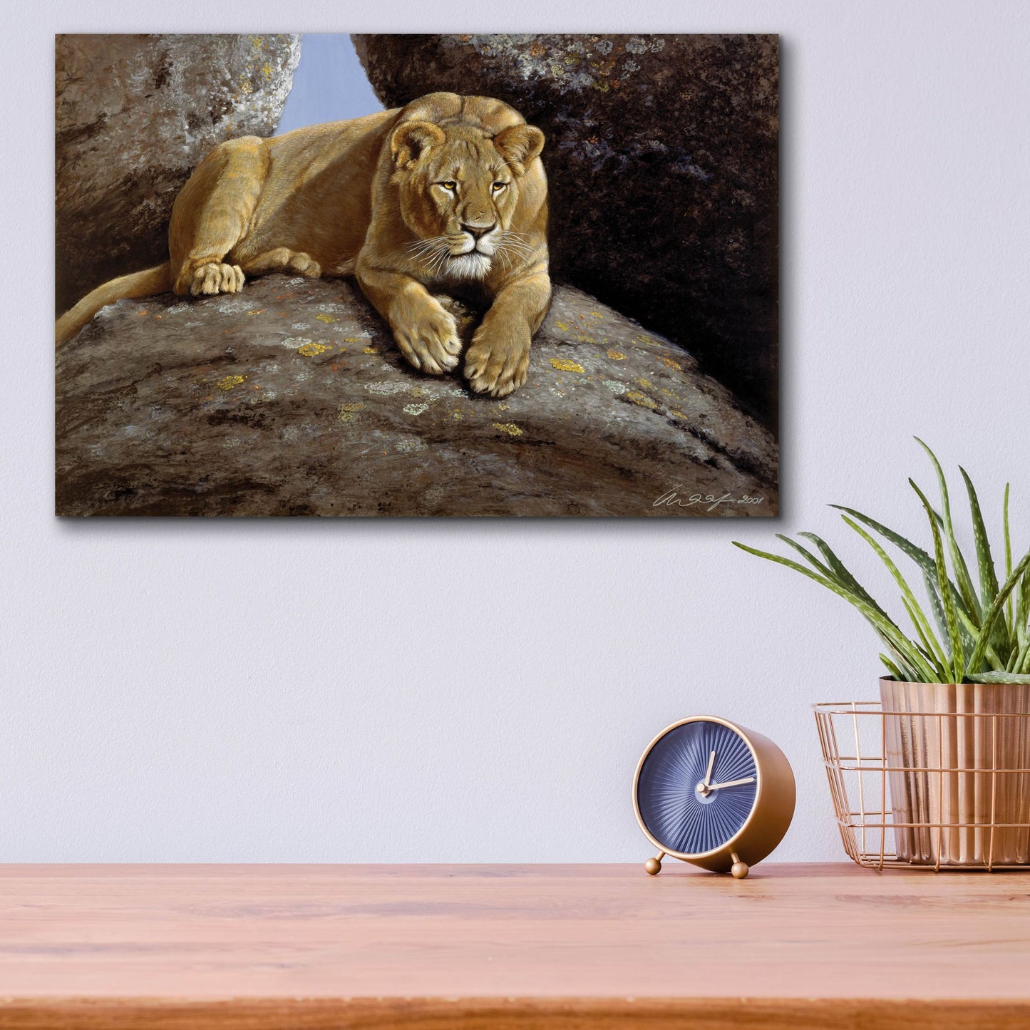 Epic Art 'Lioness' by Harro Maass, Acrylic Glass Wall Art,16x12