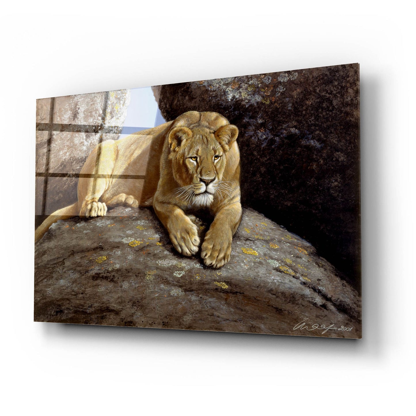 Epic Art 'Lioness' by Harro Maass, Acrylic Glass Wall Art,24x16