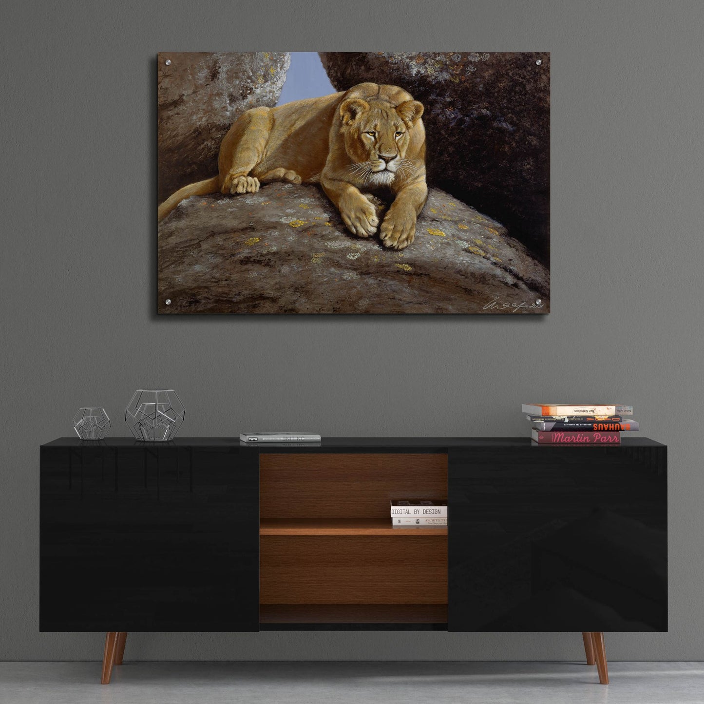 Epic Art 'Lioness' by Harro Maass, Acrylic Glass Wall Art,36x24