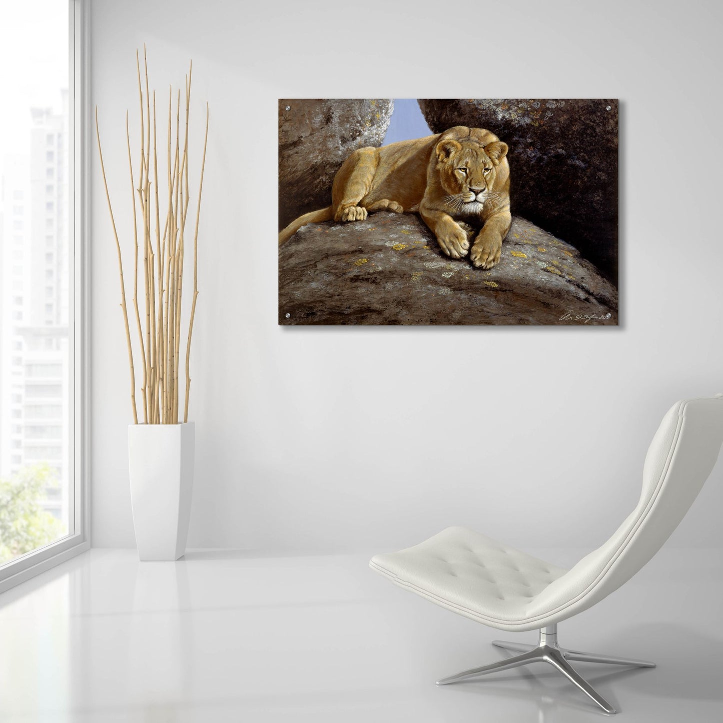 Epic Art 'Lioness' by Harro Maass, Acrylic Glass Wall Art,36x24