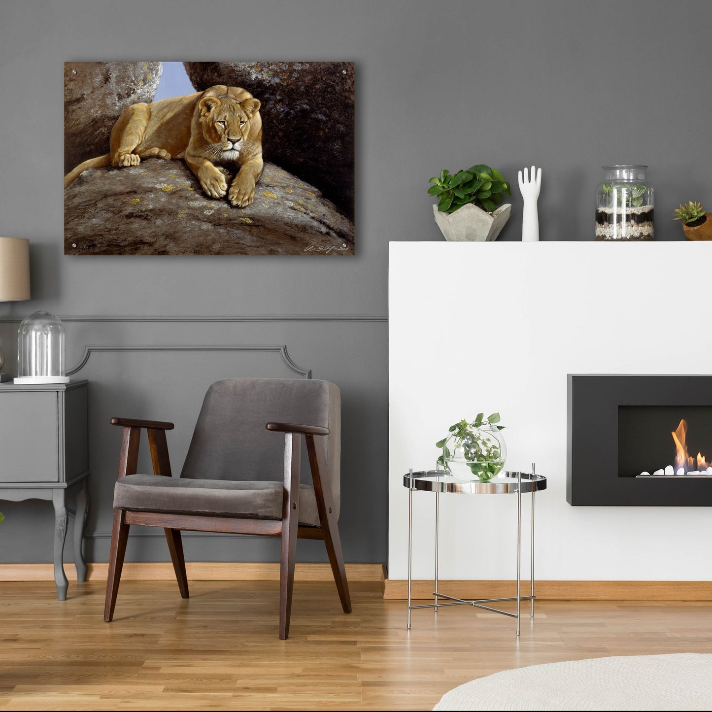 Epic Art 'Lioness' by Harro Maass, Acrylic Glass Wall Art,36x24