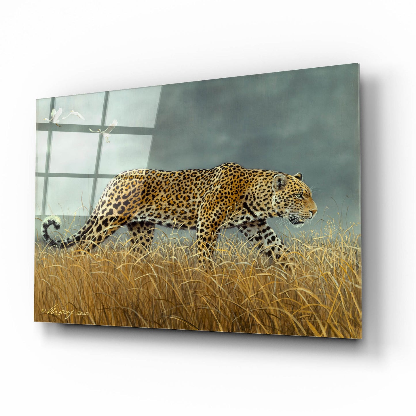 Epic Art 'Leopard 2' by Harro Maass, Acrylic Glass Wall Art,16x12