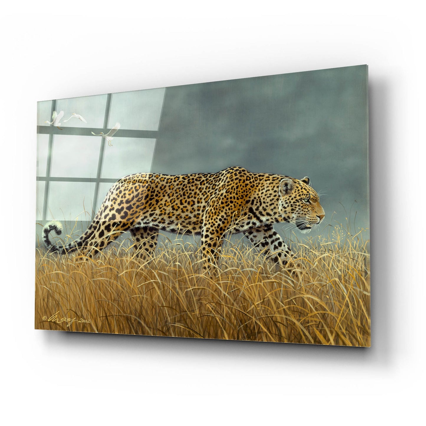 Epic Art 'Leopard 2' by Harro Maass, Acrylic Glass Wall Art,24x16