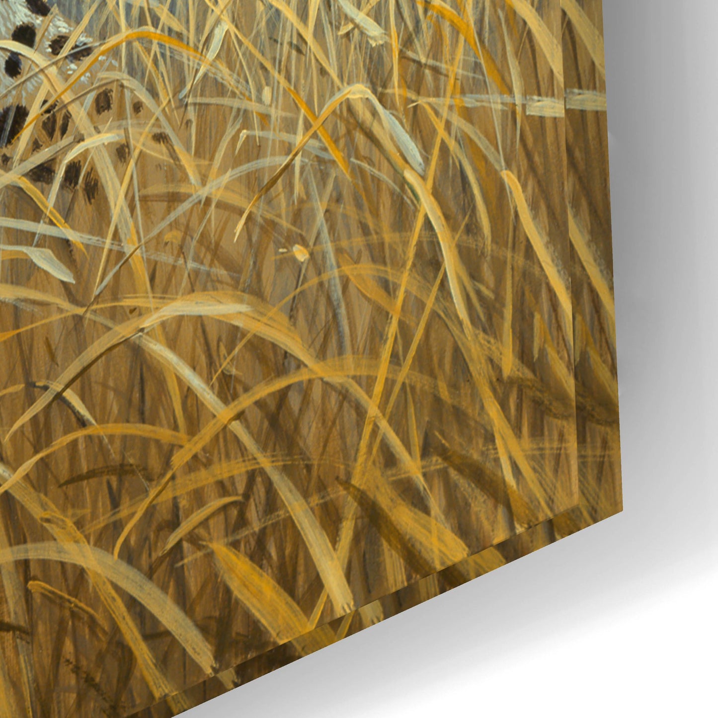 Epic Art 'Leopard 2' by Harro Maass, Acrylic Glass Wall Art,24x16