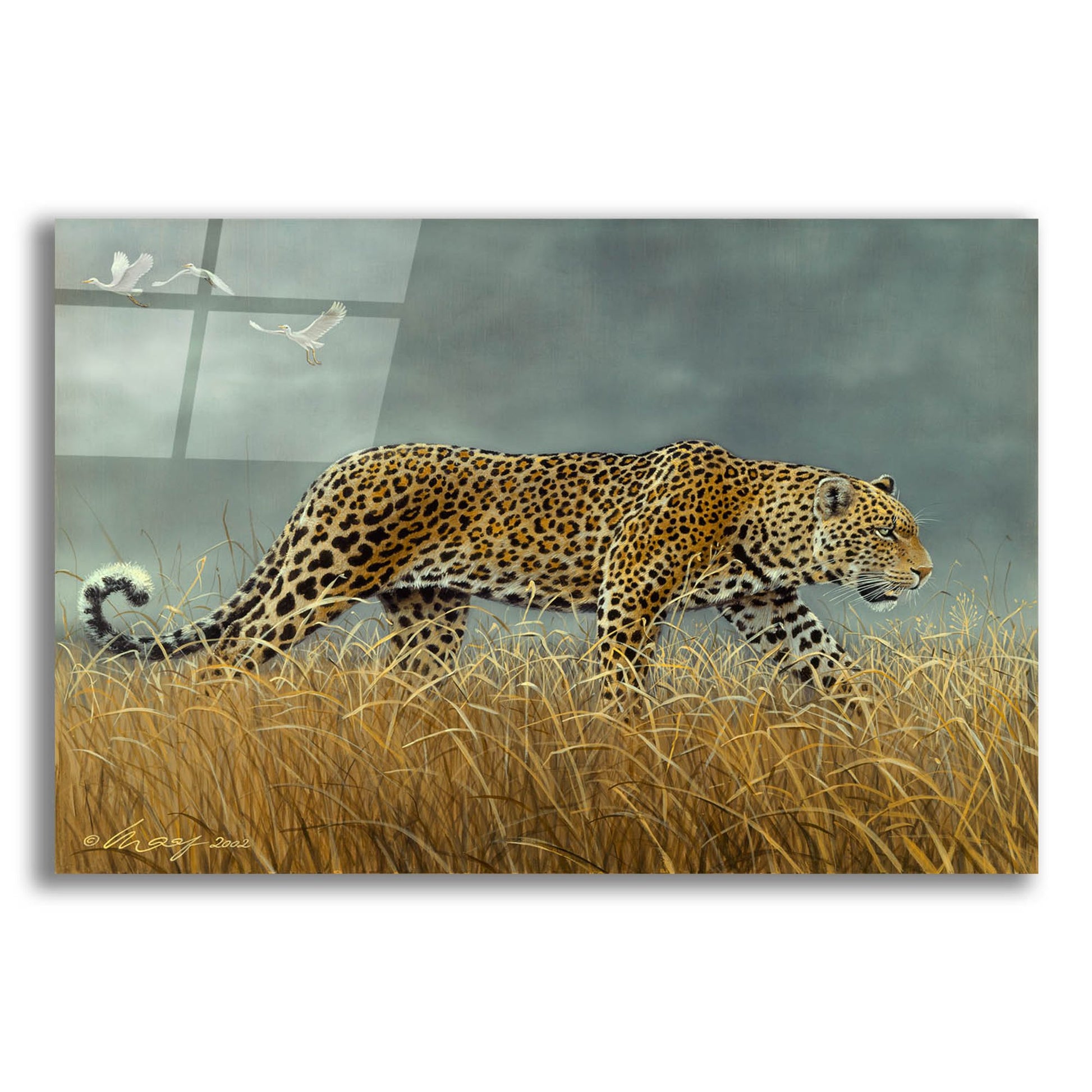Epic Art 'Leopard 2' by Harro Maass, Acrylic Glass Wall Art,24x16