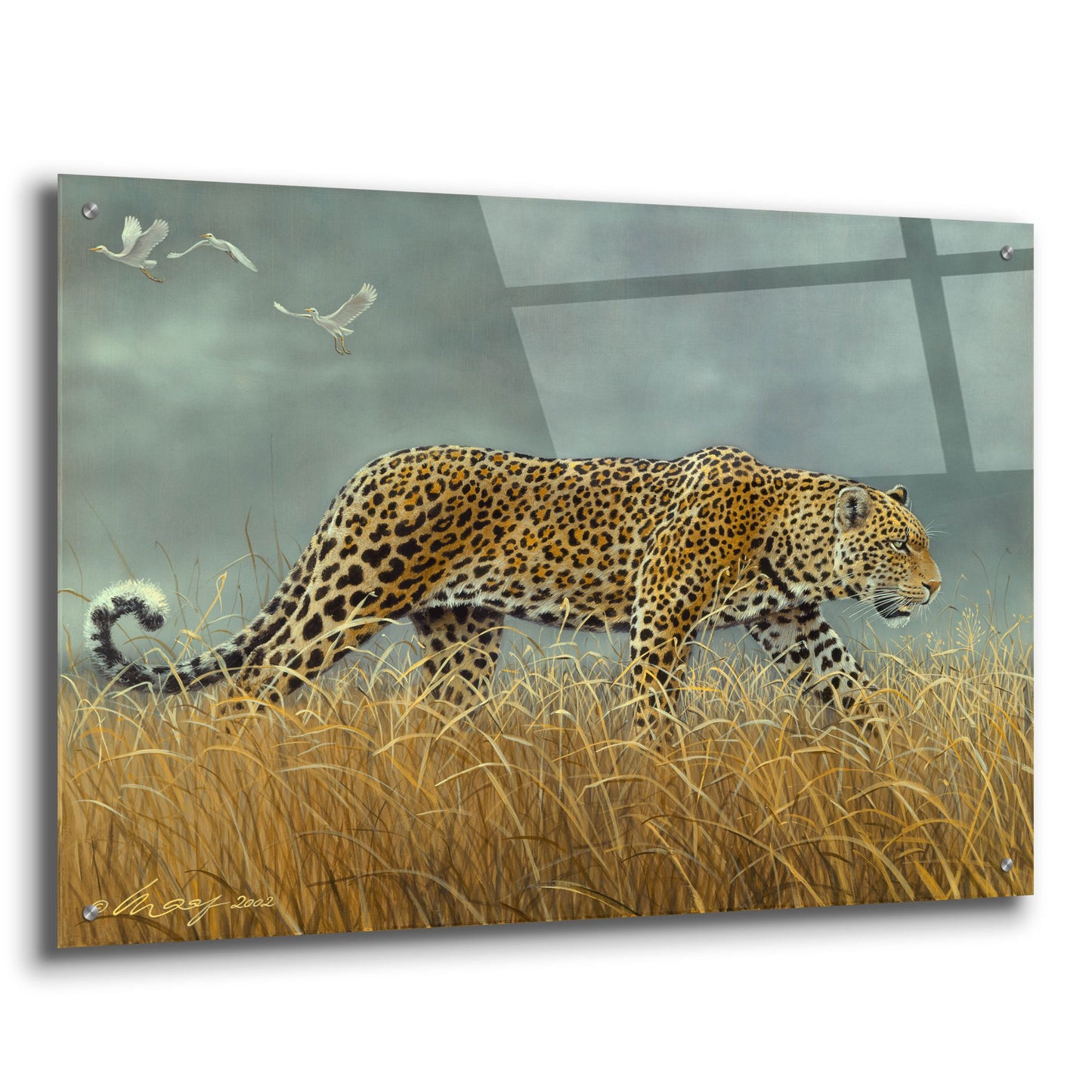 Epic Art 'Leopard 2' by Harro Maass, Acrylic Glass Wall Art,36x24