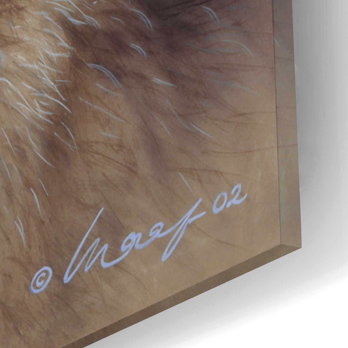 Epic Art 'Wolfpack' by Harro Maass, Acrylic Glass Wall Art,12x16