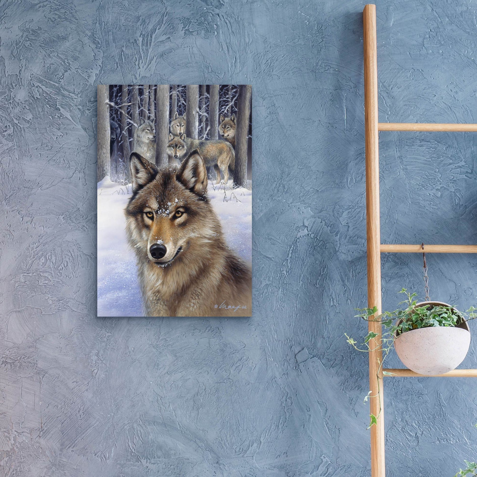 Epic Art 'Wolfpack' by Harro Maass, Acrylic Glass Wall Art,16x24