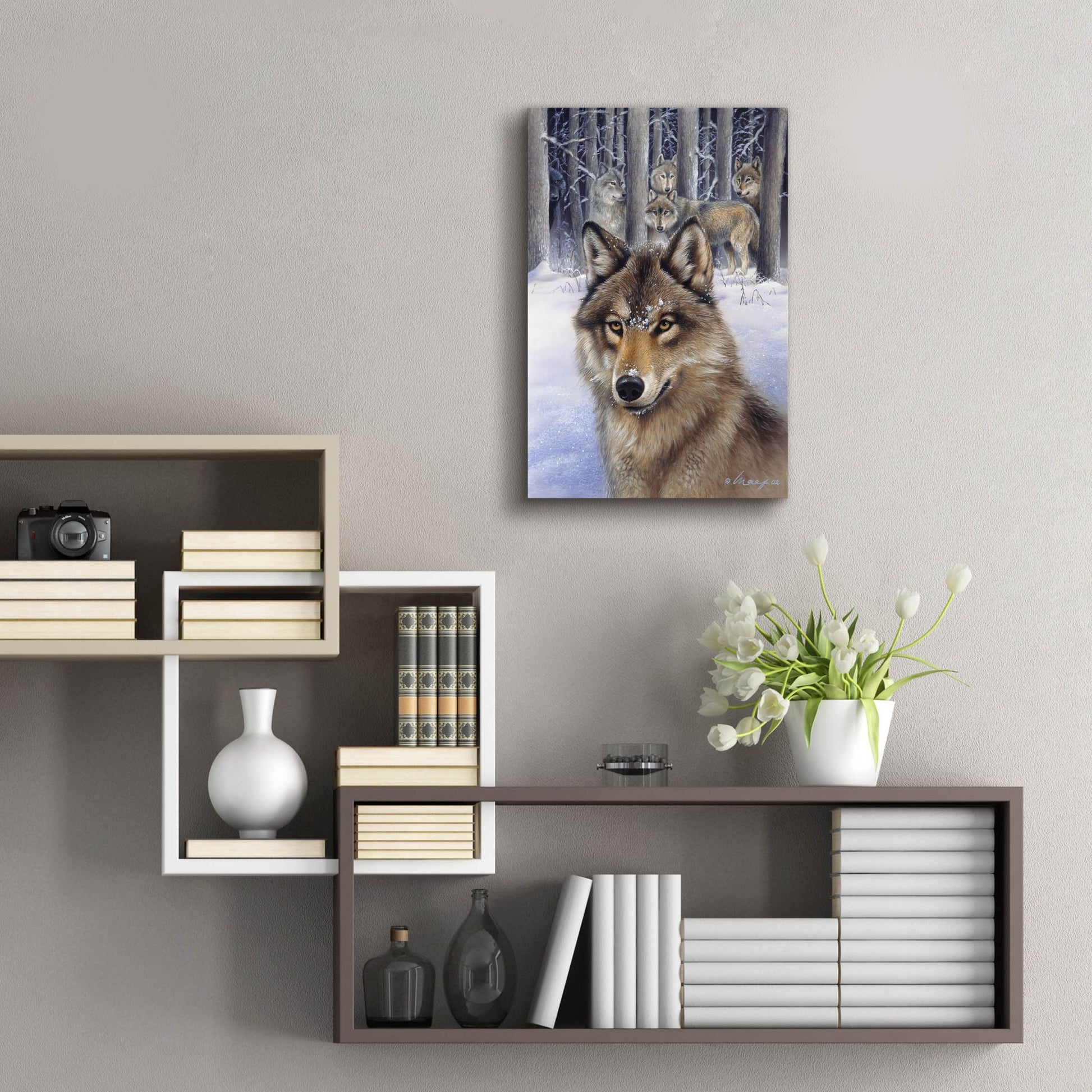 Epic Art 'Wolfpack' by Harro Maass, Acrylic Glass Wall Art,16x24