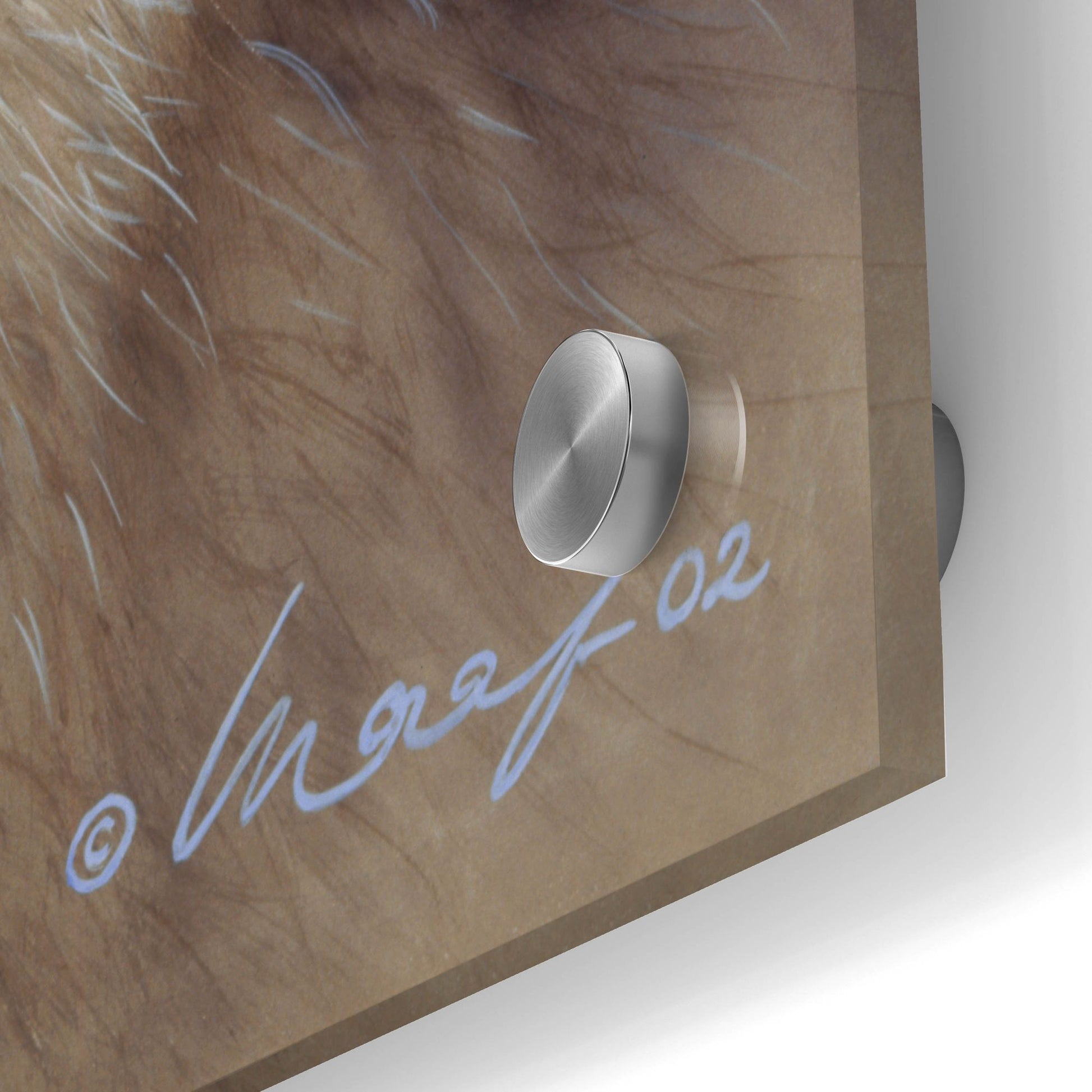 Epic Art 'Wolfpack' by Harro Maass, Acrylic Glass Wall Art,24x36