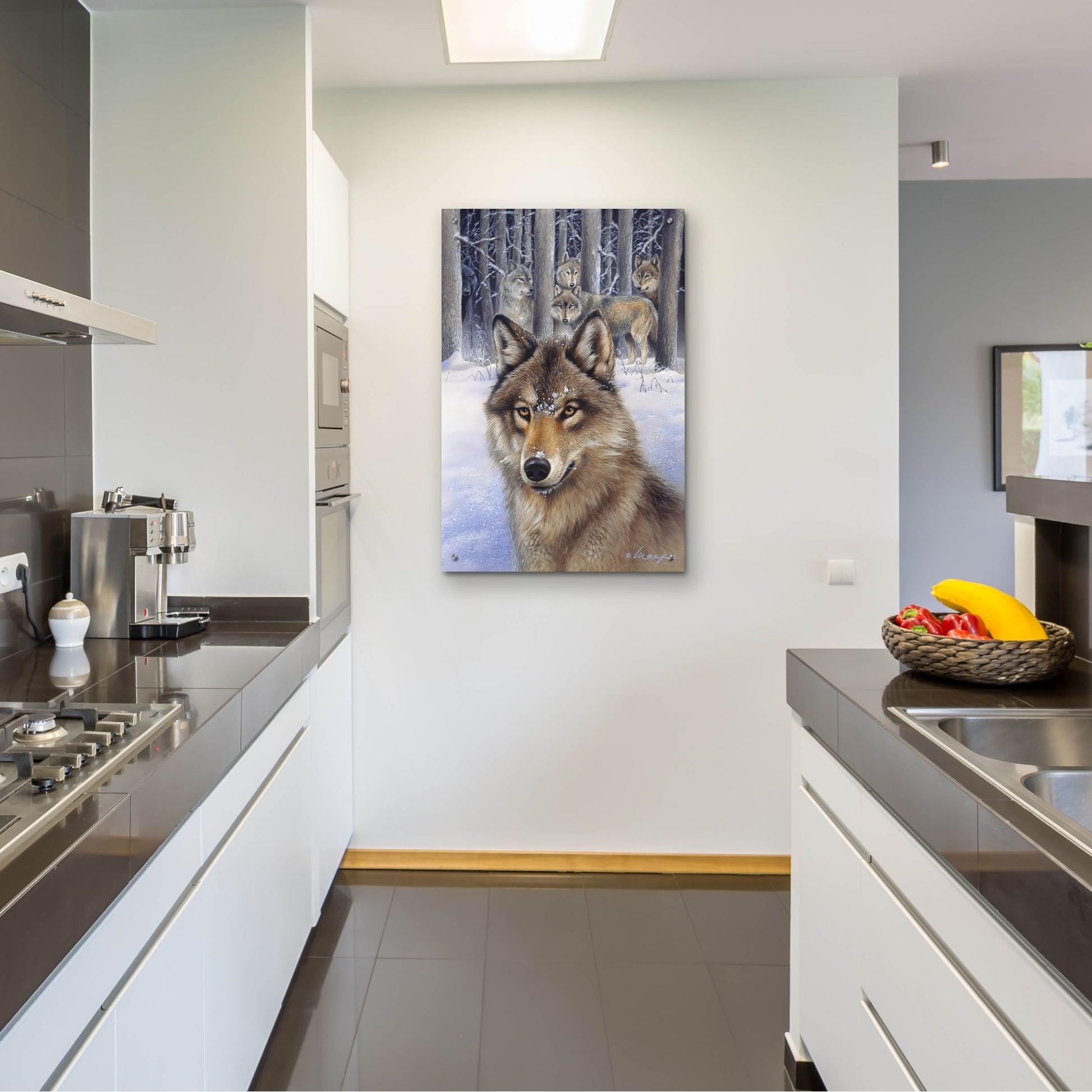 Epic Art 'Wolfpack' by Harro Maass, Acrylic Glass Wall Art,24x36