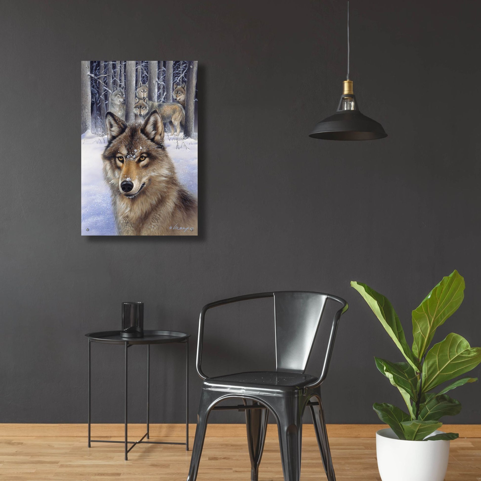 Epic Art 'Wolfpack' by Harro Maass, Acrylic Glass Wall Art,24x36