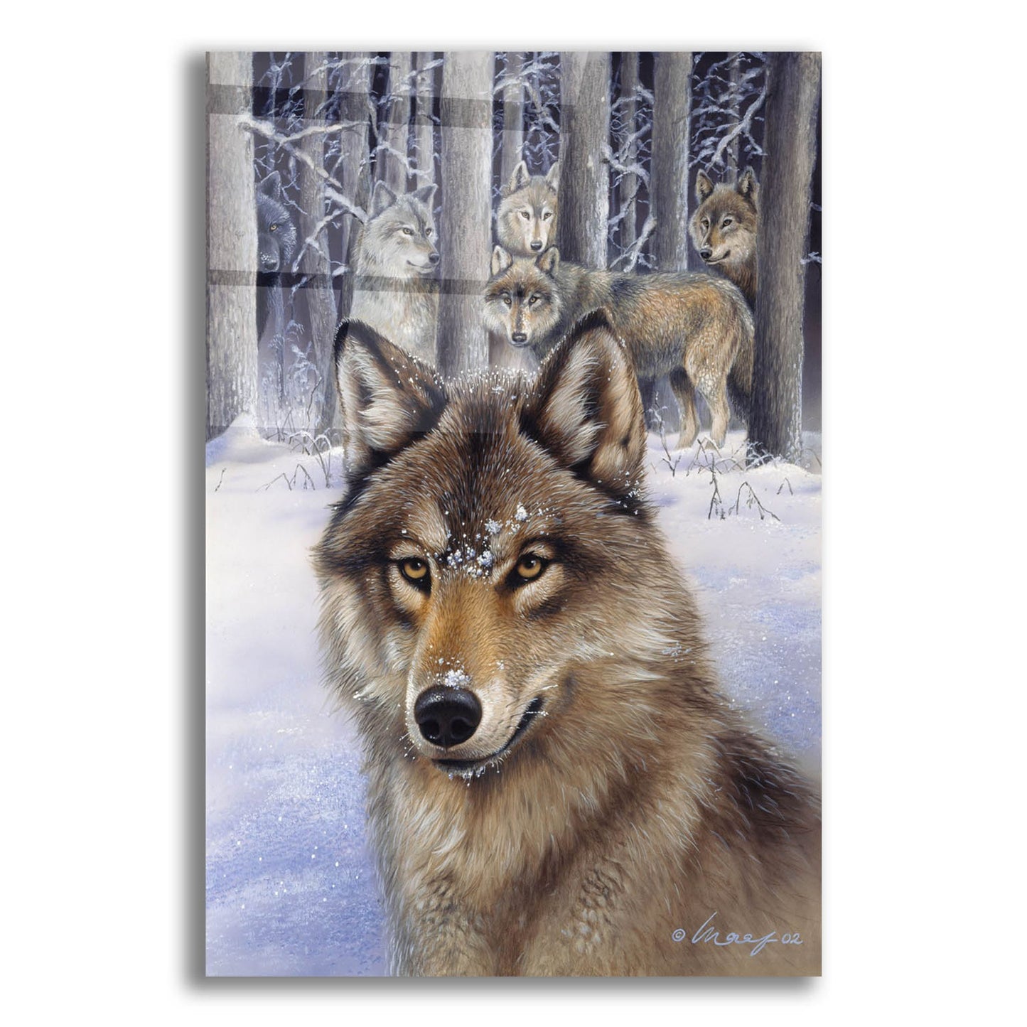 Epic Art 'Wolfpack' by Harro Maass, Acrylic Glass Wall Art