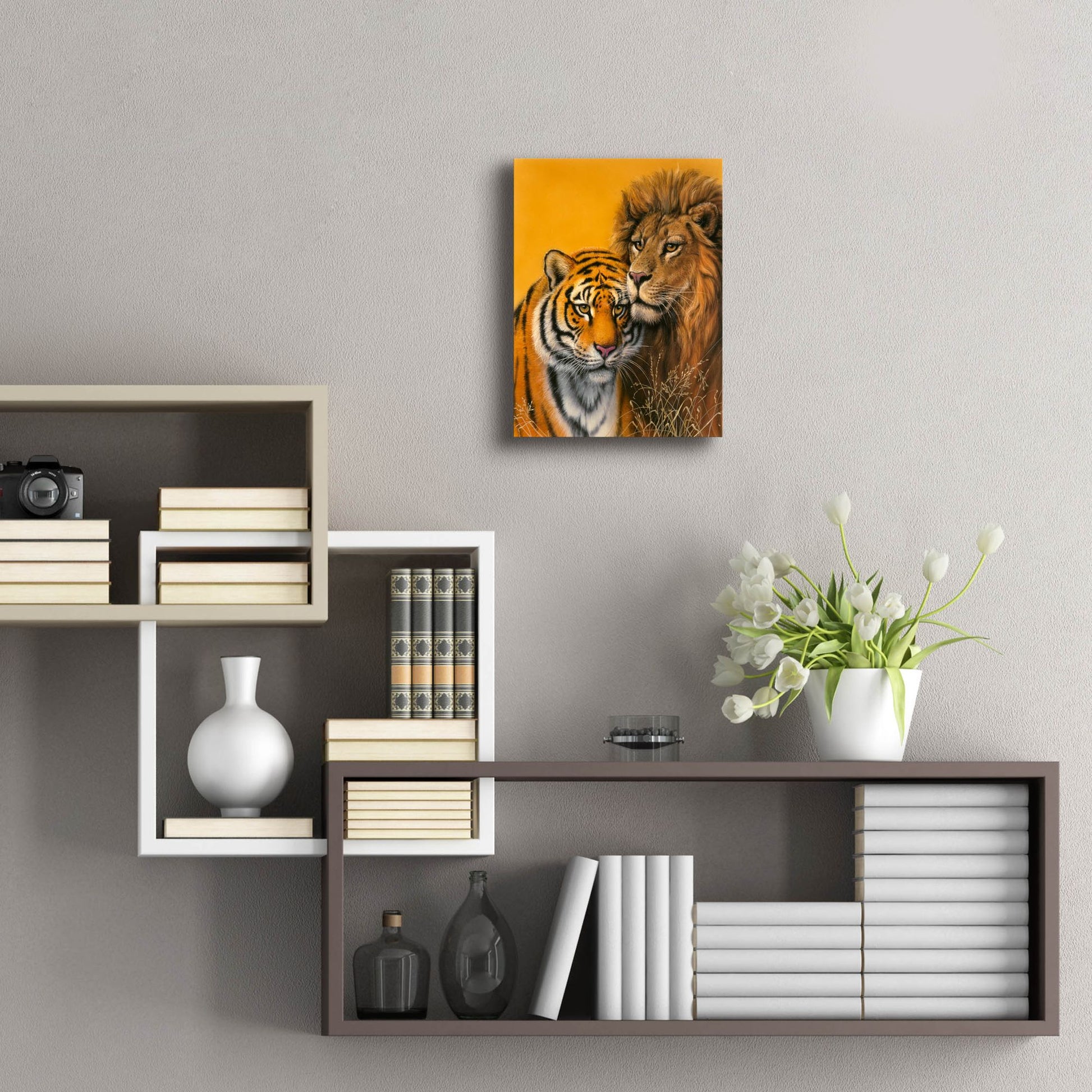 Epic Art 'Lion & Tiger' by Harro Maass, Acrylic Glass Wall Art,12x16