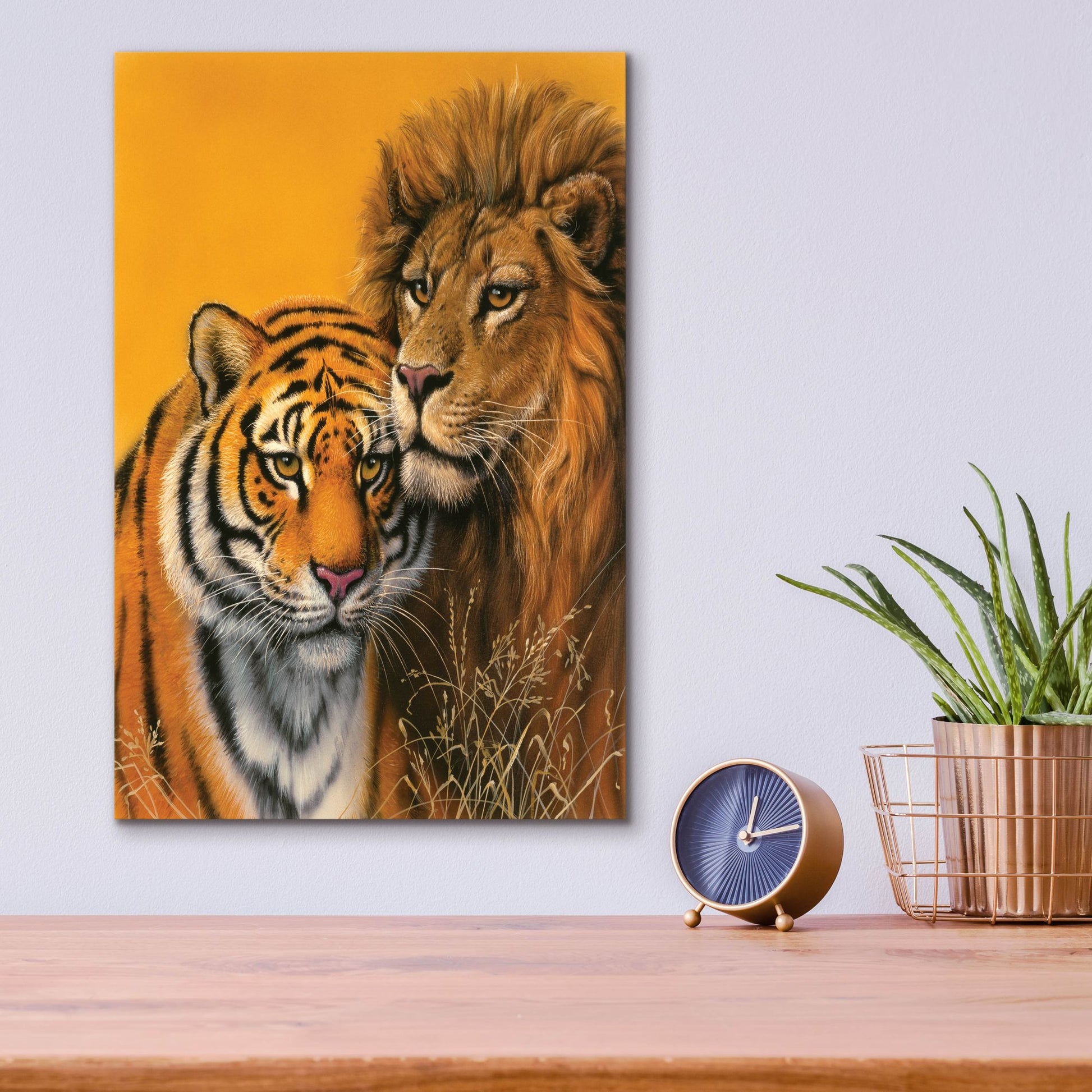 Epic Art 'Lion & Tiger' by Harro Maass, Acrylic Glass Wall Art,12x16