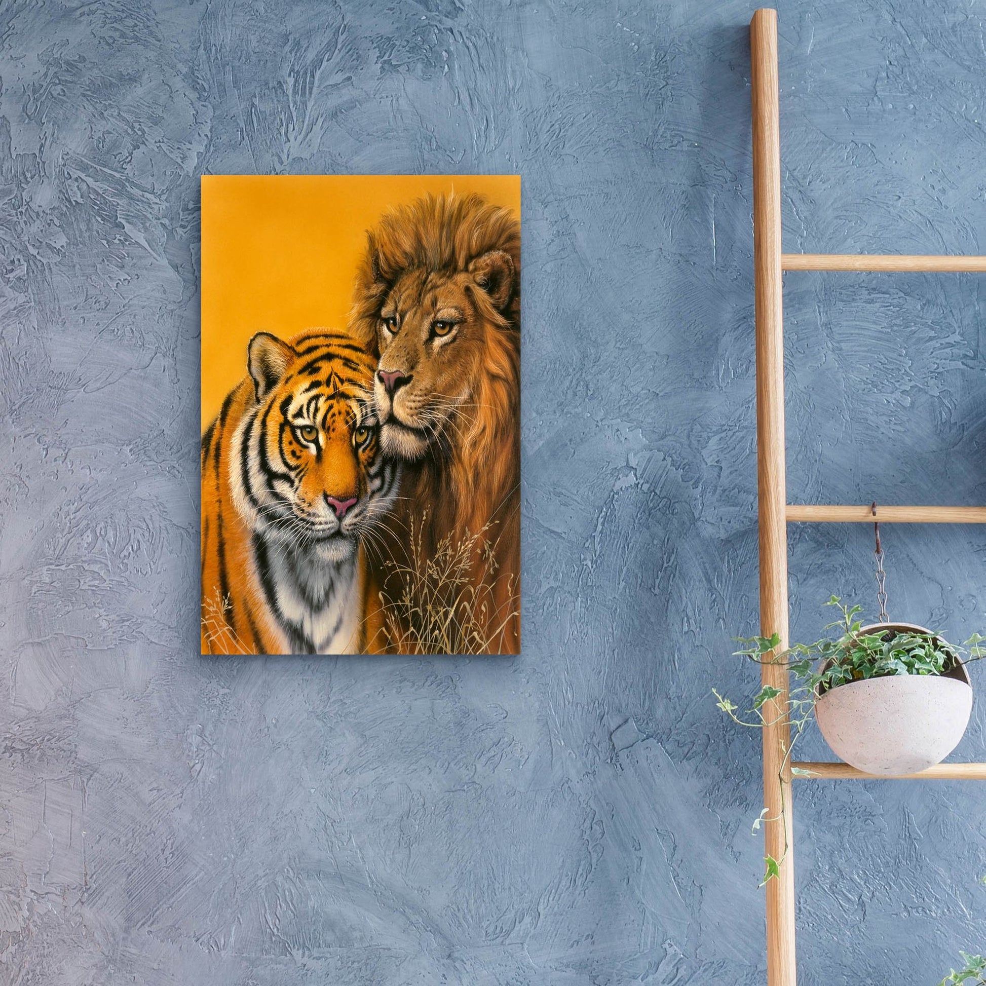 Epic Art 'Lion & Tiger' by Harro Maass, Acrylic Glass Wall Art,16x24