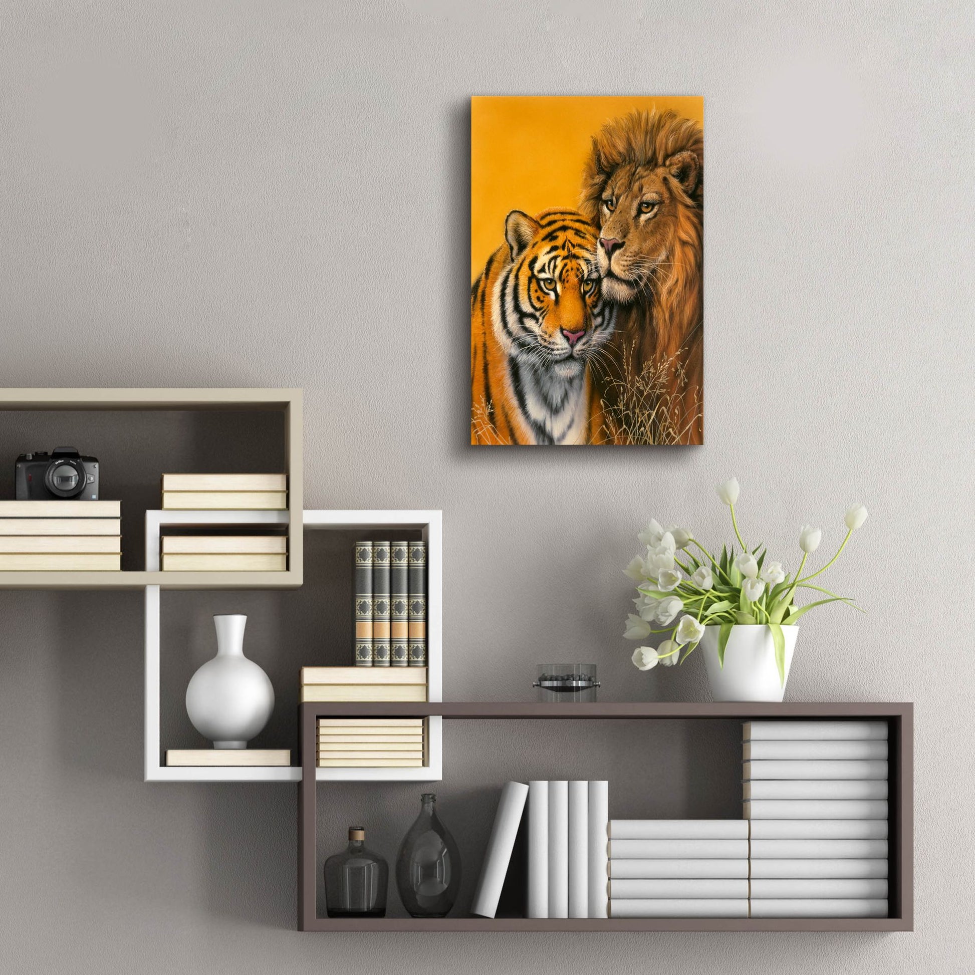 Epic Art 'Lion & Tiger' by Harro Maass, Acrylic Glass Wall Art,16x24