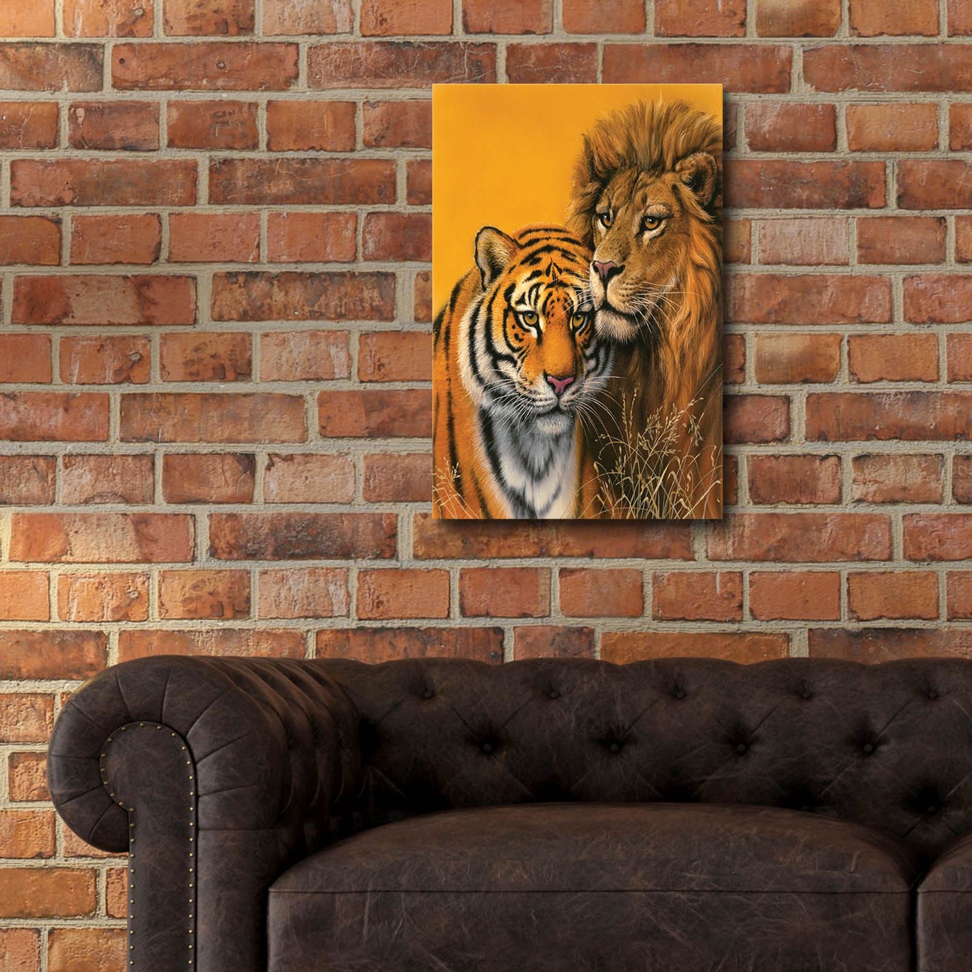 Epic Art 'Lion & Tiger' by Harro Maass, Acrylic Glass Wall Art,16x24