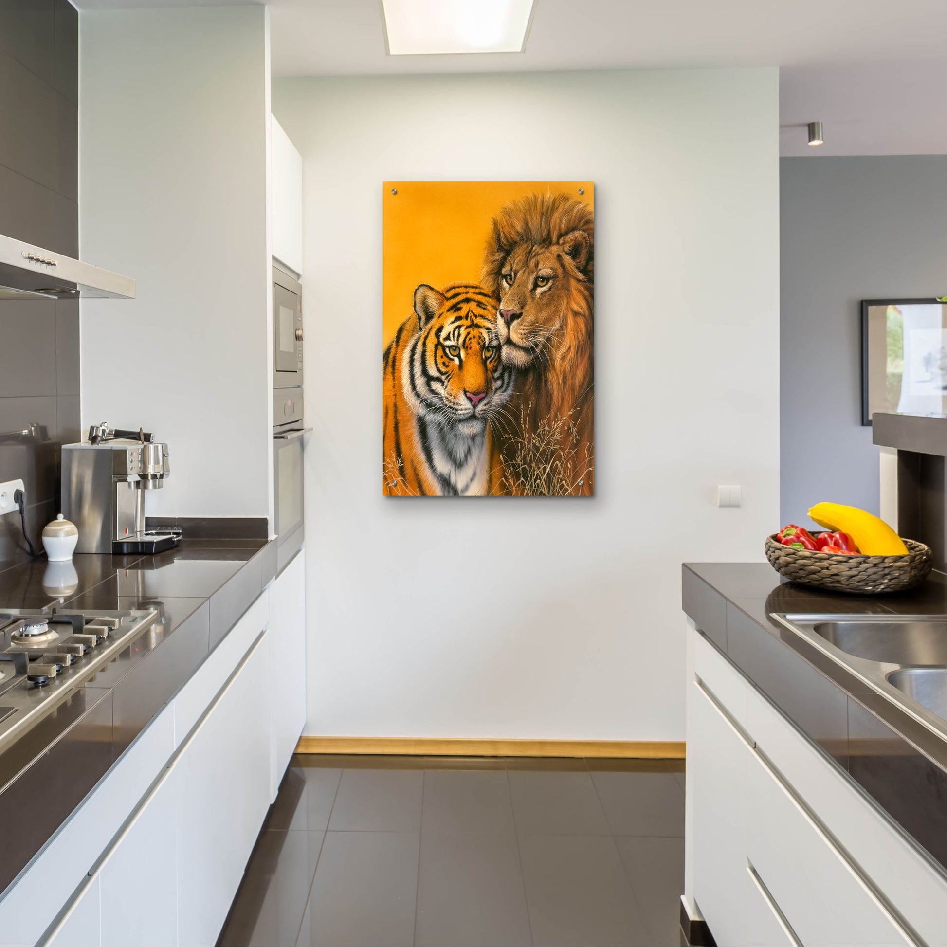 Epic Art 'Lion & Tiger' by Harro Maass, Acrylic Glass Wall Art,24x36