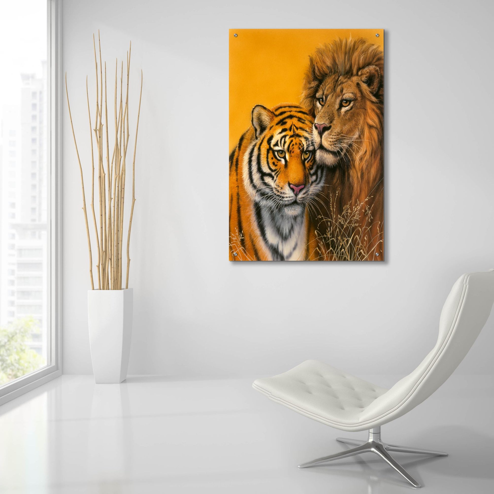 Epic Art 'Lion & Tiger' by Harro Maass, Acrylic Glass Wall Art,24x36