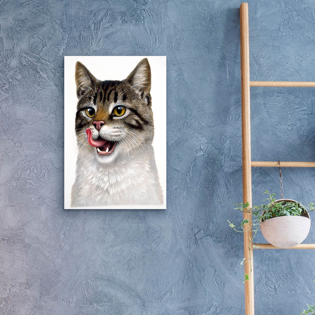 Epic Art 'Cat' by Harro Maass, Acrylic Glass Wall Art,16x24