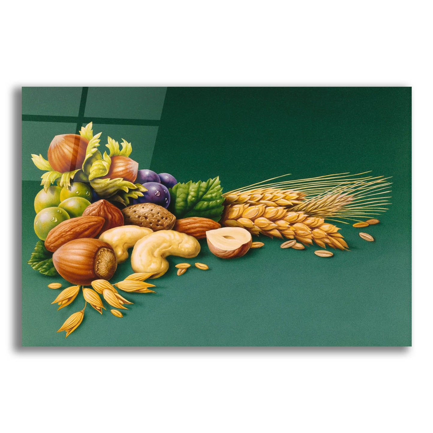 Epic Art 'Nuts' by Harro Maass, Acrylic Glass Wall Art,24x16