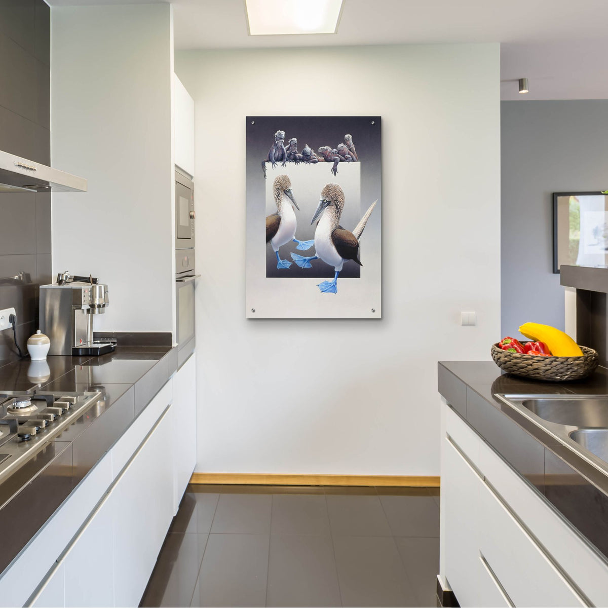 Epic Art 'Bluefooted Boobies And Marine Iguanas' by Harro Maass, Acrylic Glass Wall Art,24x36