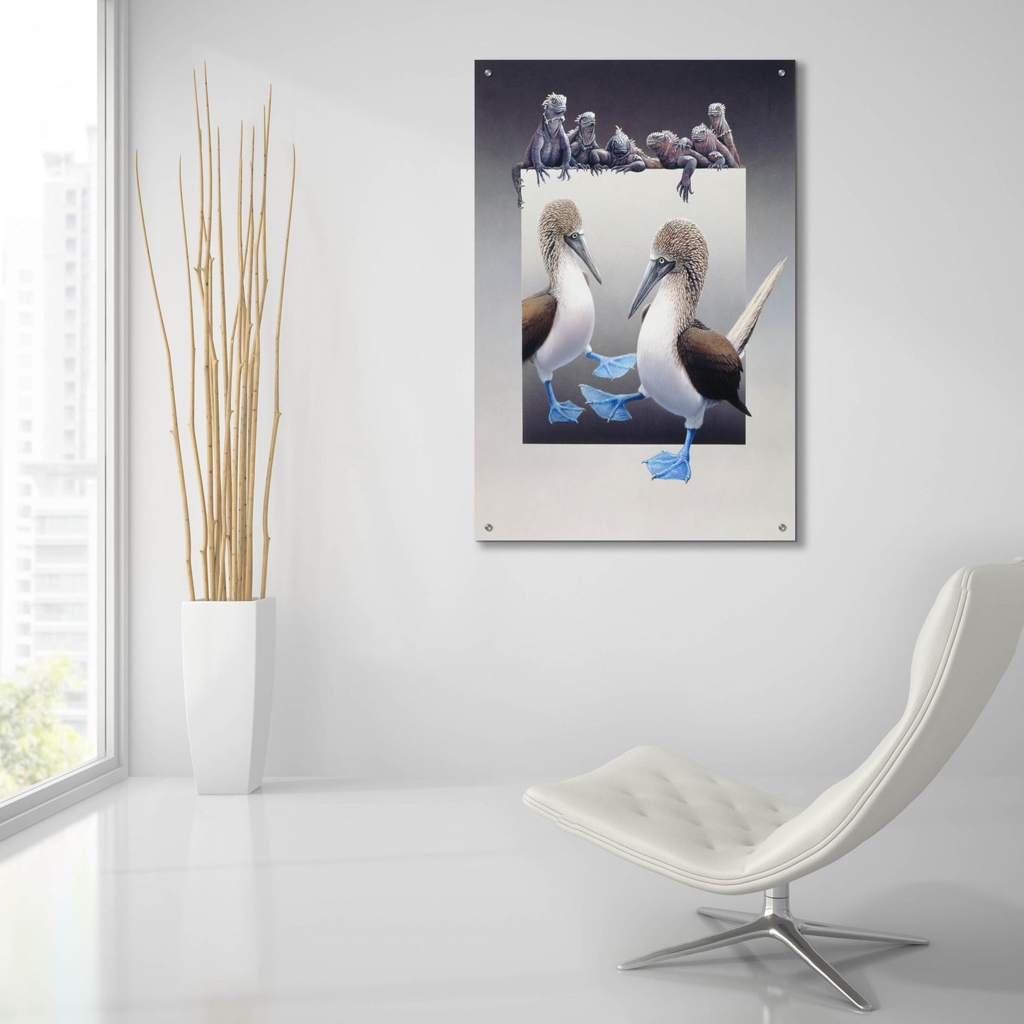 Epic Art 'Bluefooted Boobies And Marine Iguanas' by Harro Maass, Acrylic Glass Wall Art,24x36