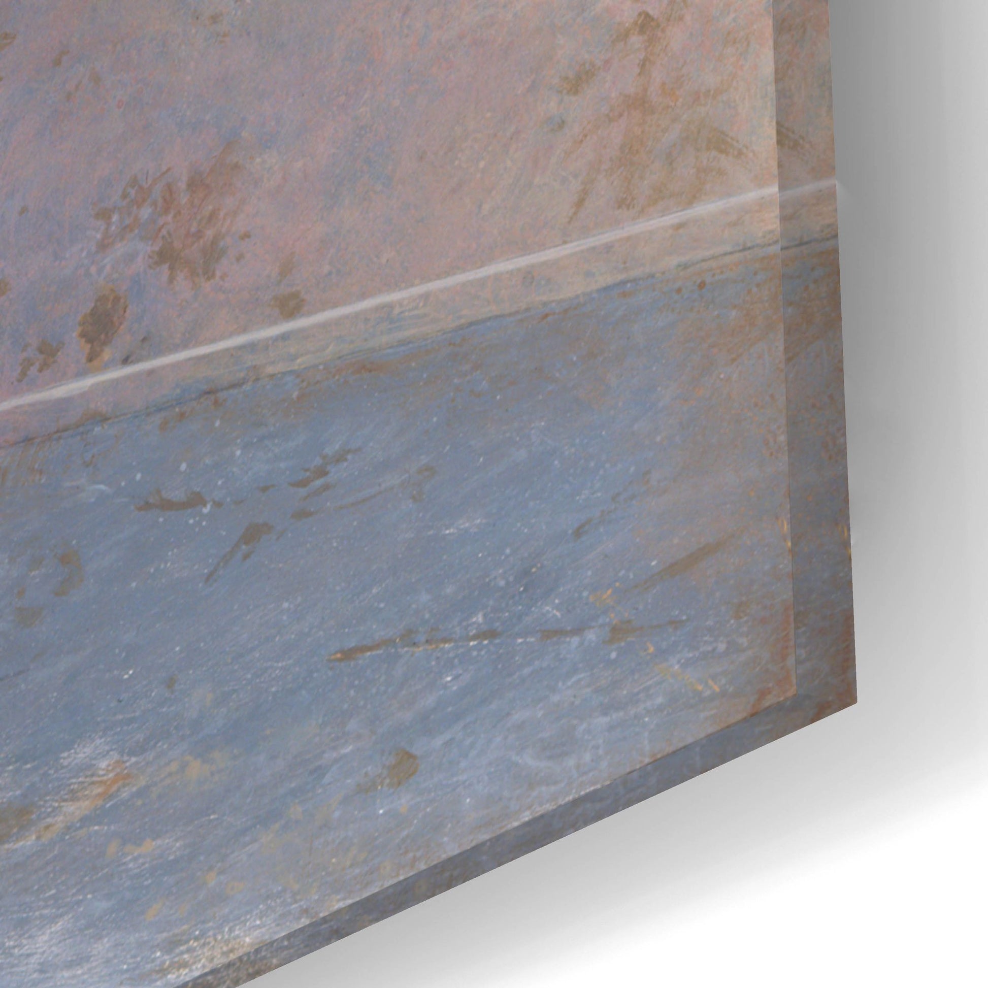 Epic Art 'Goose' by Harro Maass, Acrylic Glass Wall Art,24x16