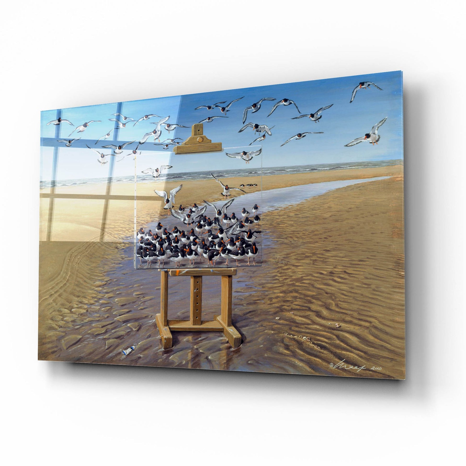 Epic Art 'Oyster Catchers' by Harro Maass, Acrylic Glass Wall Art,16x12