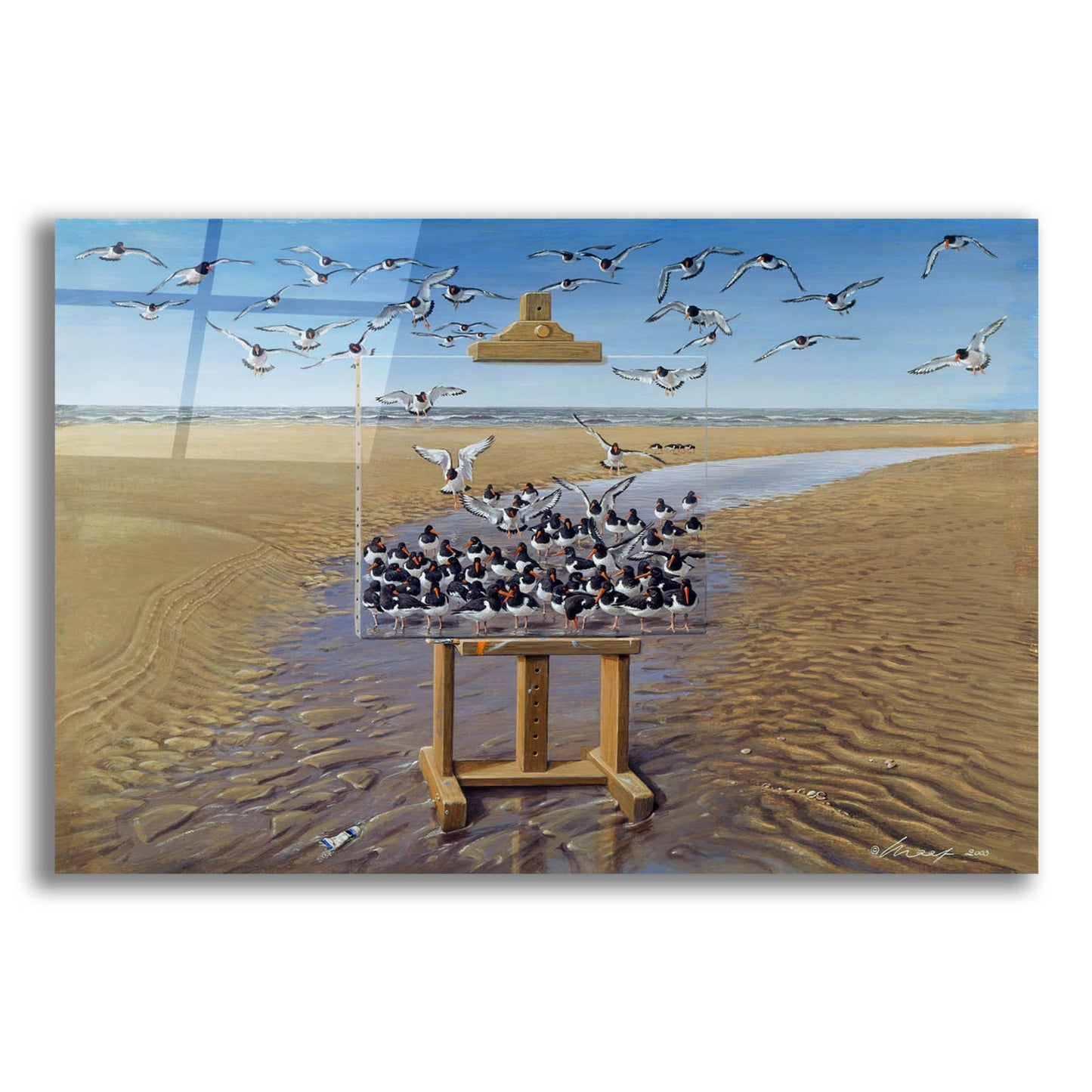 Epic Art 'Oyster Catchers' by Harro Maass, Acrylic Glass Wall Art,16x12