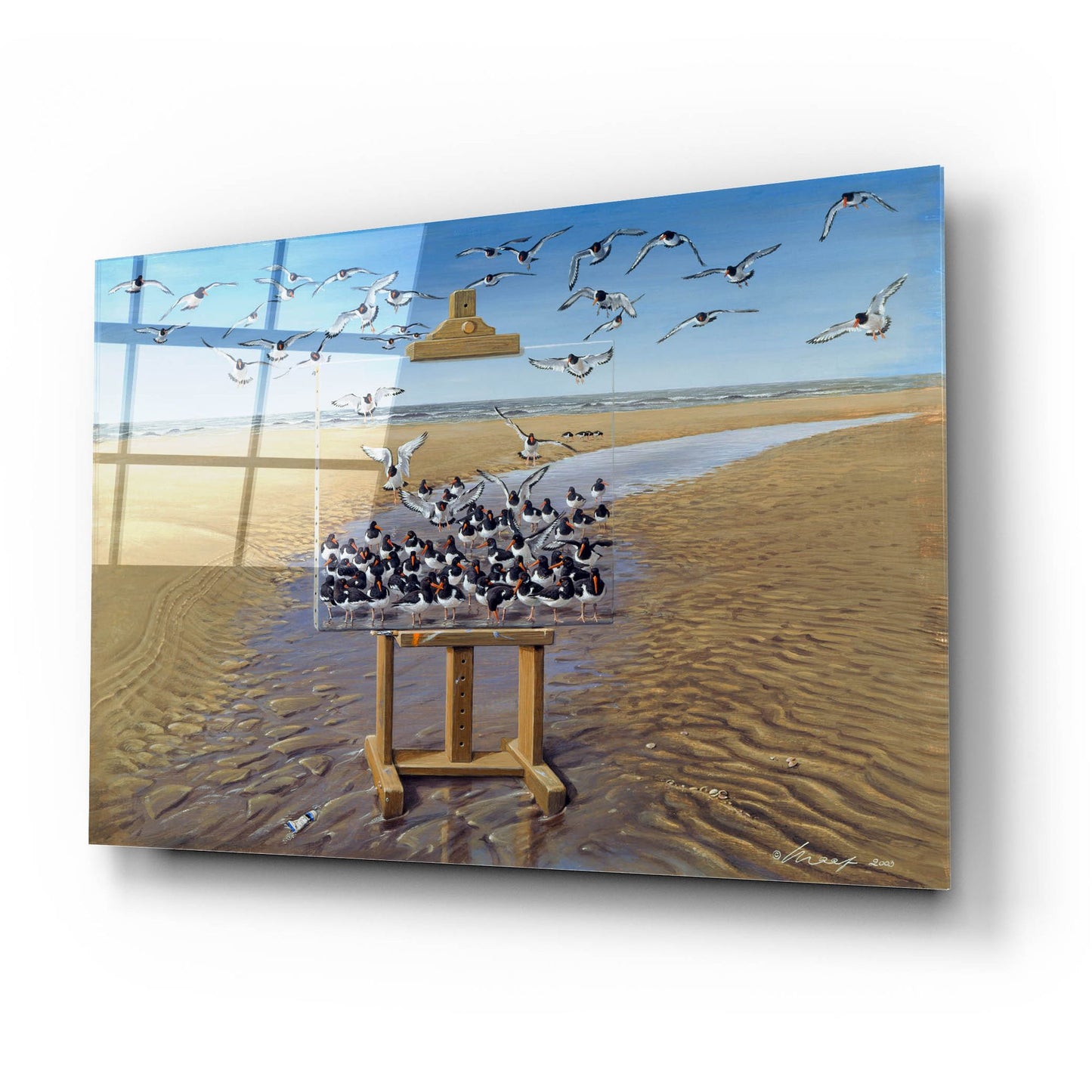 Epic Art 'Oyster Catchers' by Harro Maass, Acrylic Glass Wall Art,24x16