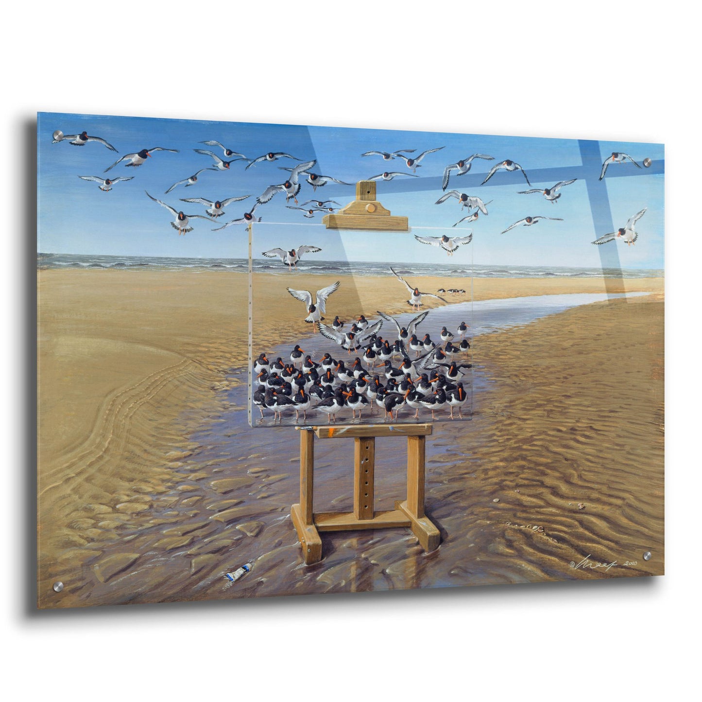 Epic Art 'Oyster Catchers' by Harro Maass, Acrylic Glass Wall Art,36x24