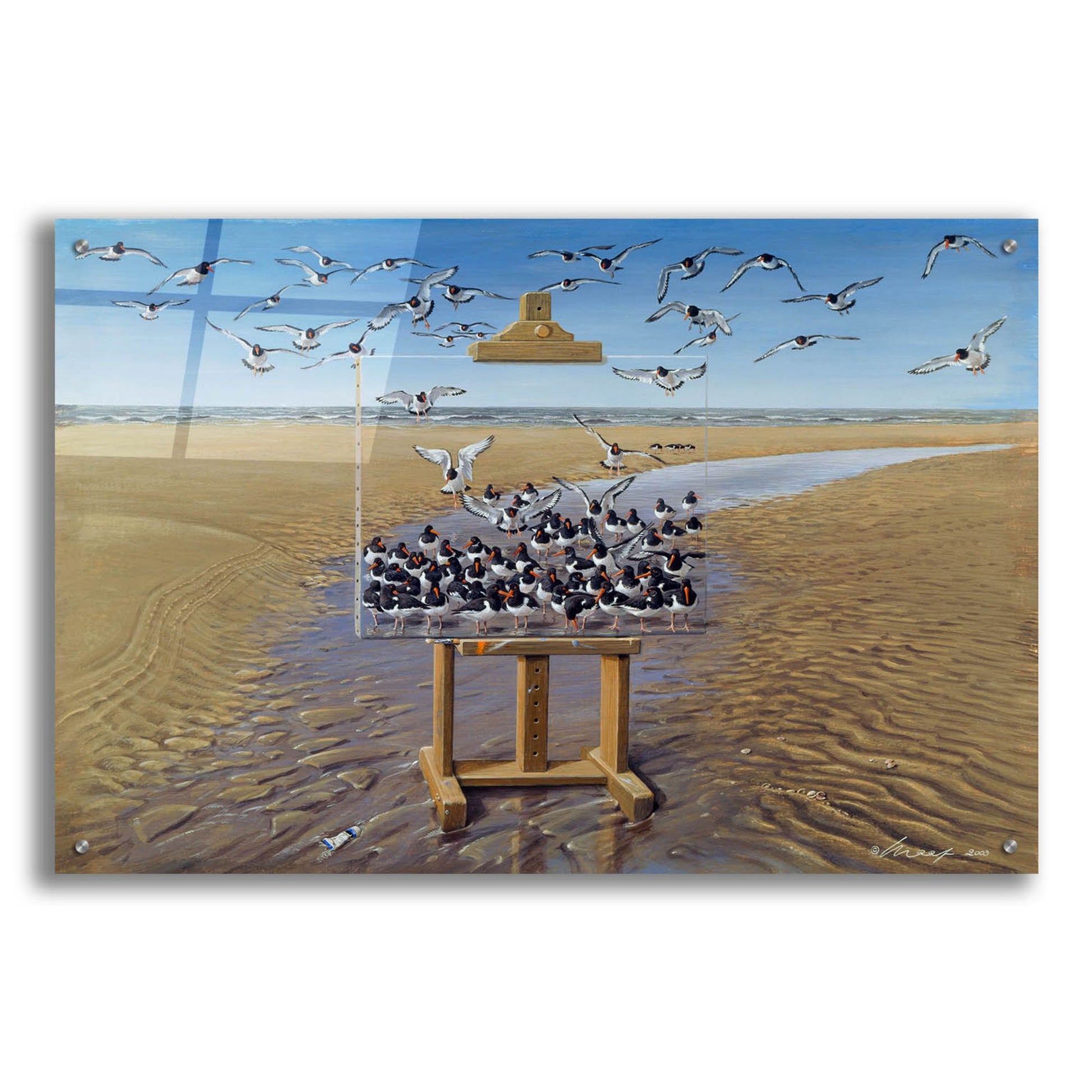 Epic Art 'Oyster Catchers' by Harro Maass, Acrylic Glass Wall Art,36x24