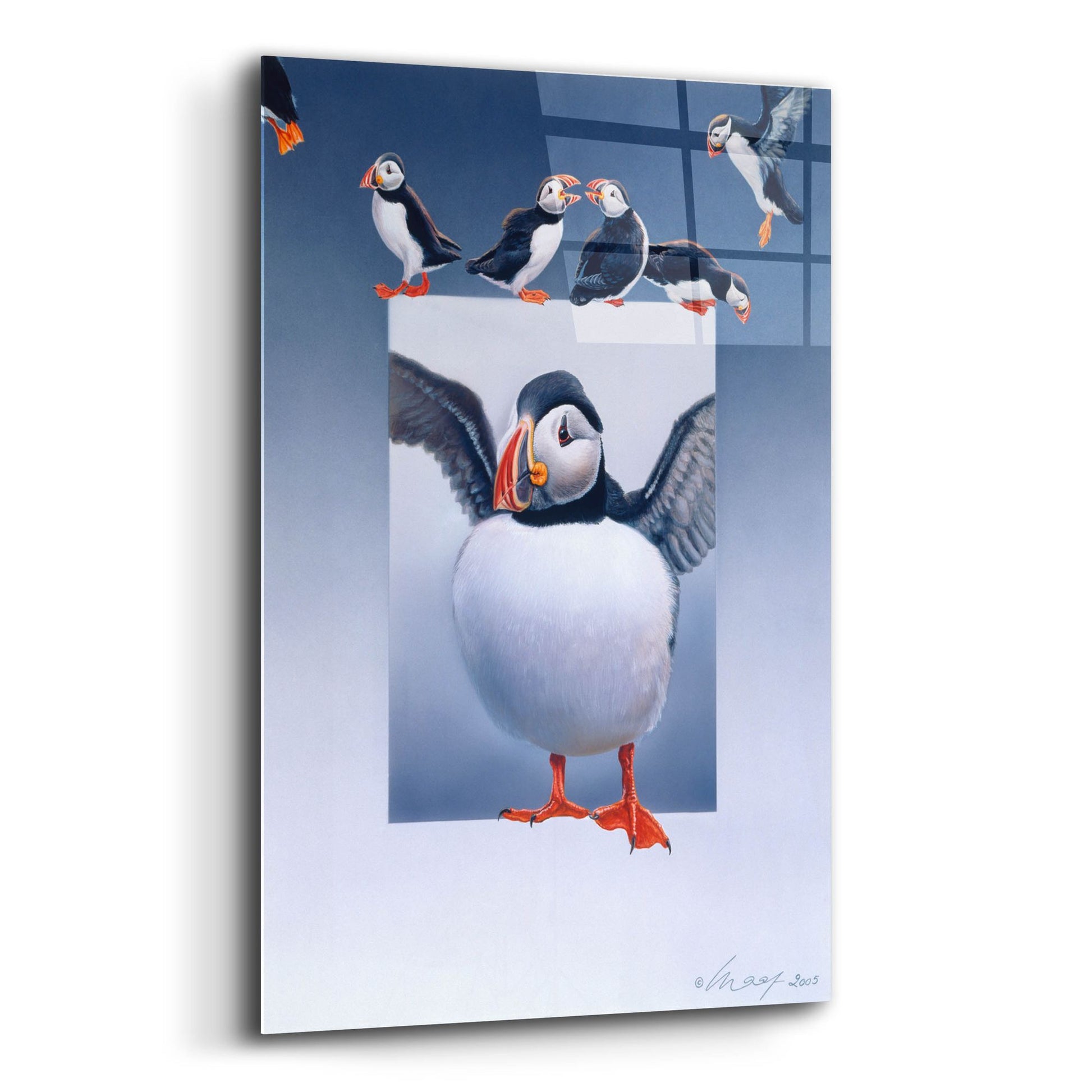 Epic Art 'Puffins' by Harro Maass, Acrylic Glass Wall Art,12x16