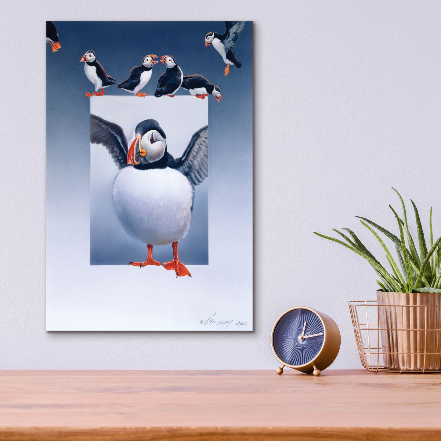 Epic Art 'Puffins' by Harro Maass, Acrylic Glass Wall Art,12x16